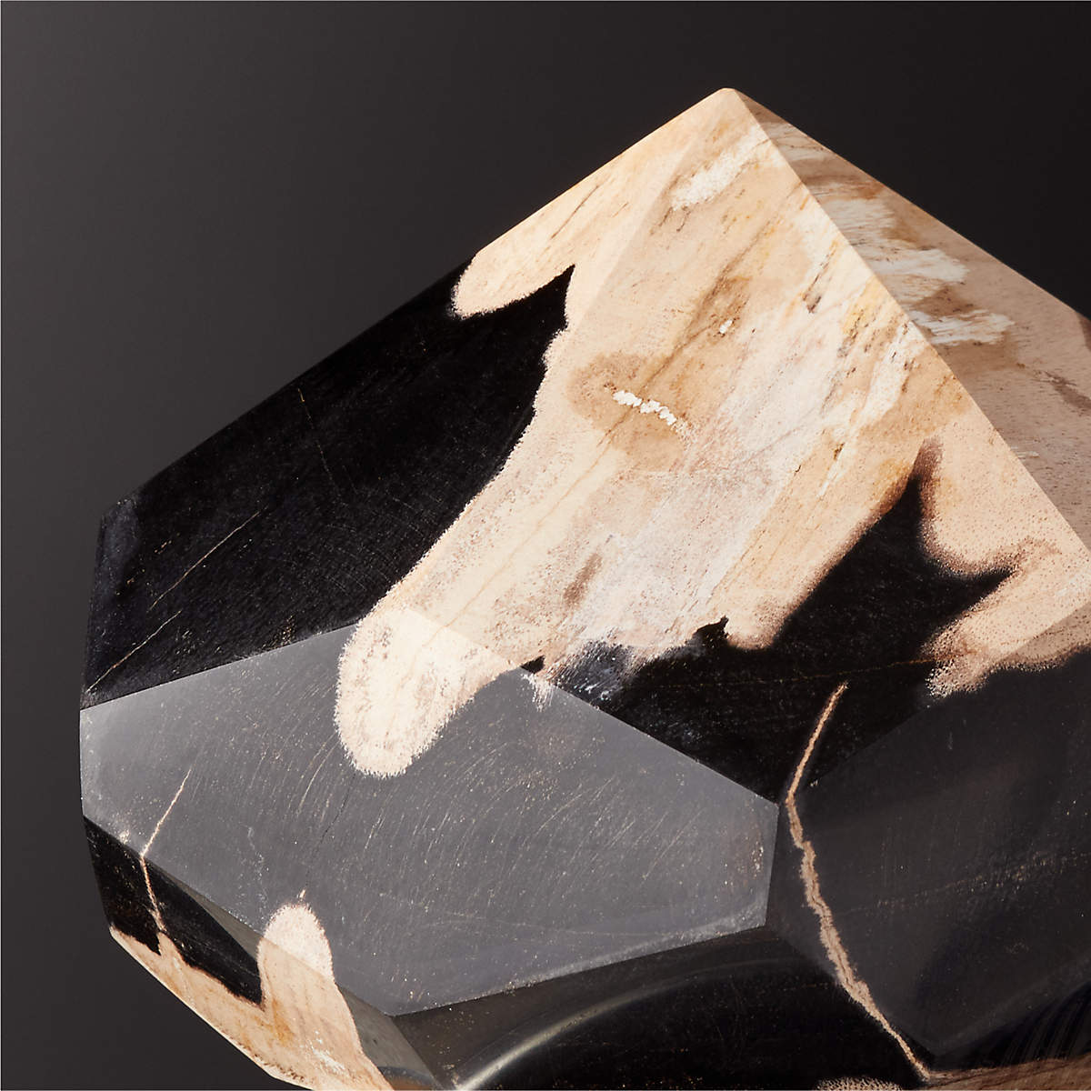 Petrified Wood Object thumbnail 3