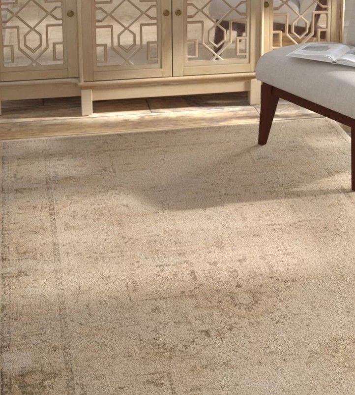 Evanoff Oriental Area Rug in Beige 8'10"x12'2" thumbnail 2
