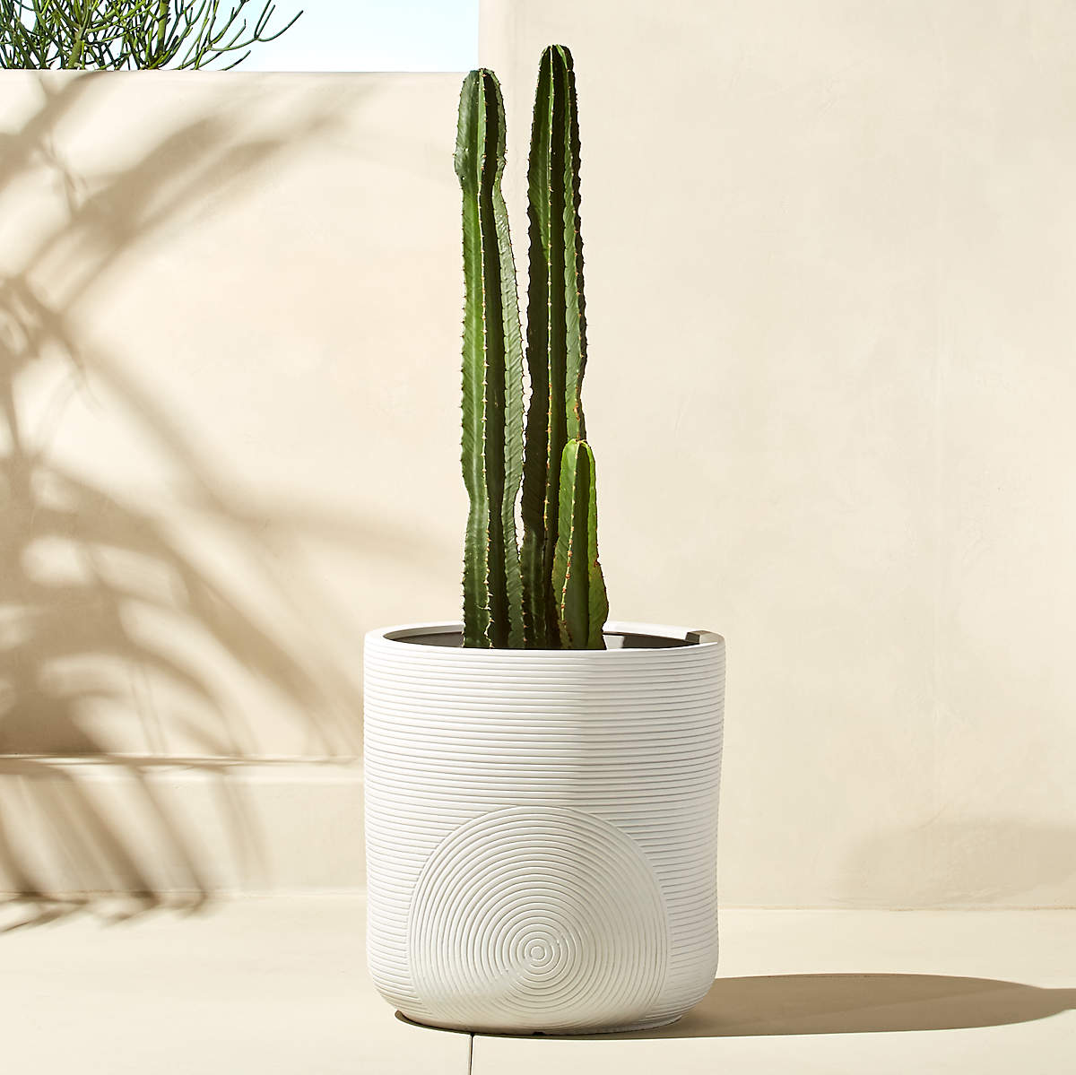 Zen Large White Planter thumbnail 2