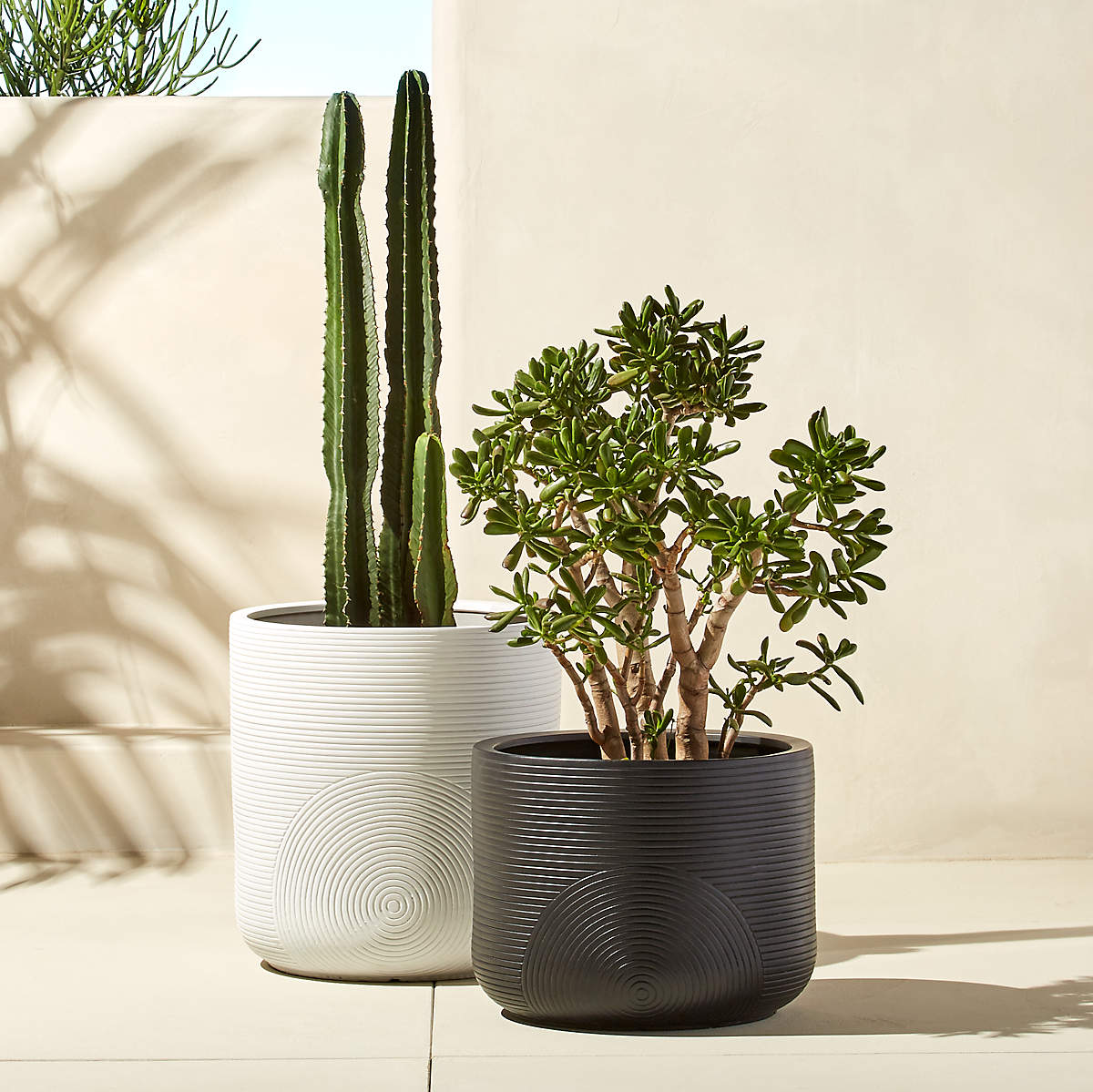 Zen Large White Planter thumbnail 3