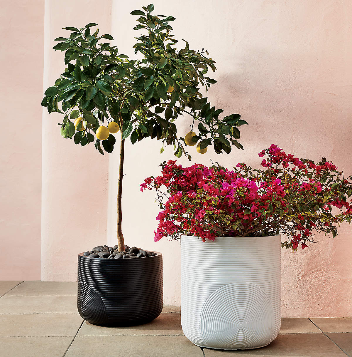 Zen Large White Planter thumbnail 4