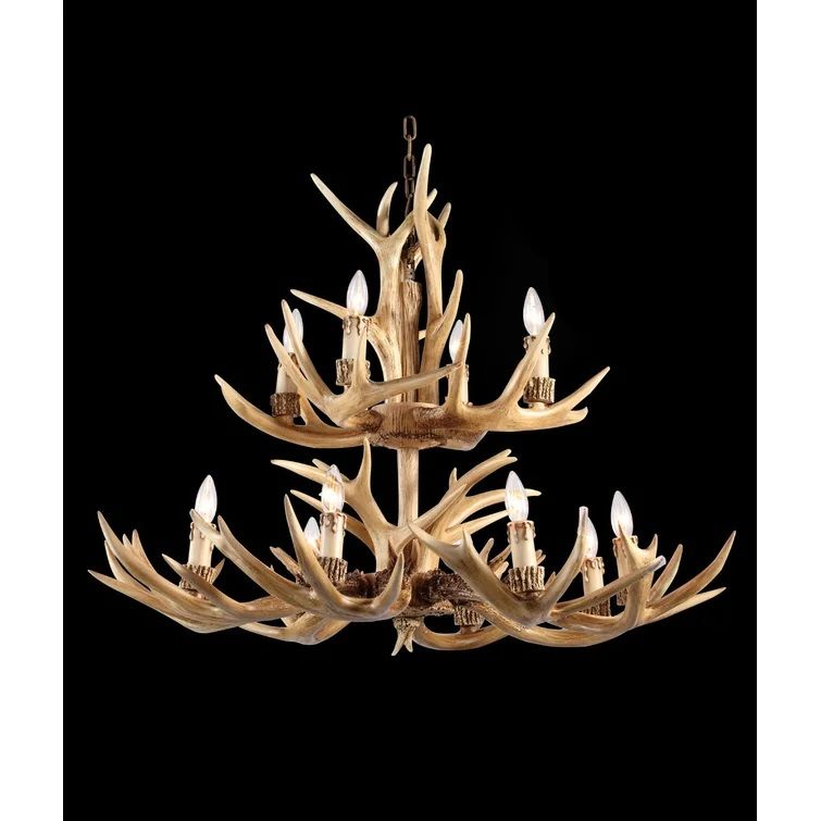 Oberry 12 Light Unique Chandelier with Antler Accents thumbnail 2