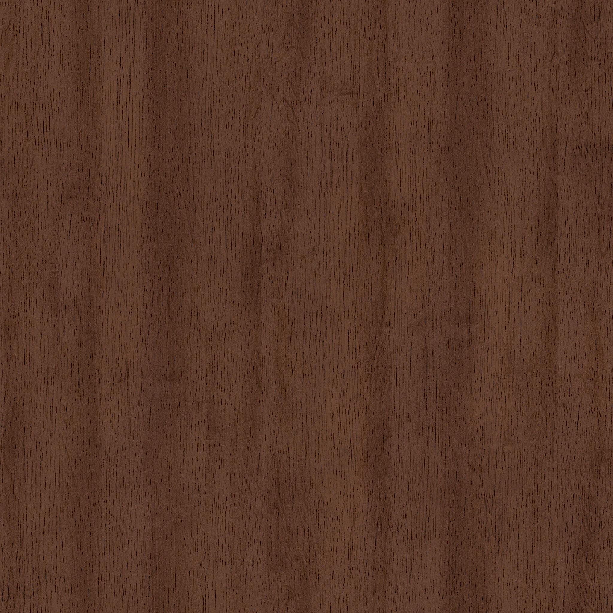 Nosh Andaman Blue Walnut Dining Chair thumbnail 8