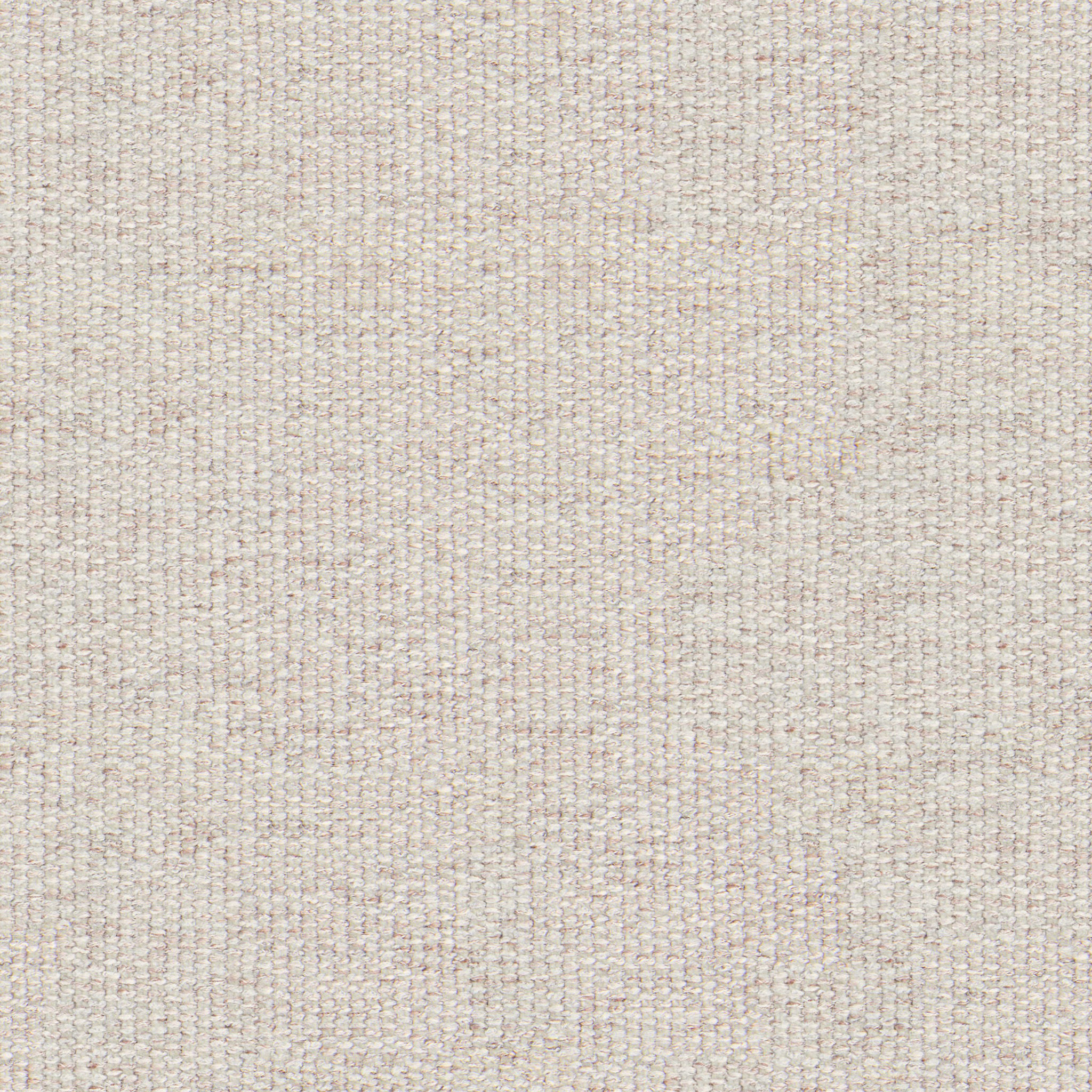 Alta Camellia Ivory Oak Dining Chair thumbnail 8