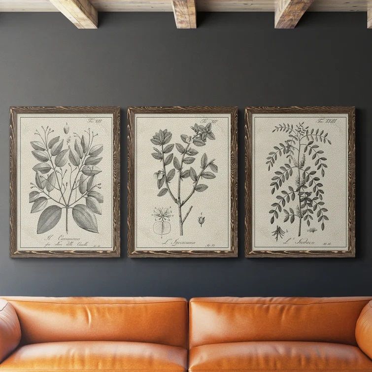 Antique Black And White Botanical VII 3 Piece Picture With Frame 27.5x37.5 thumbnail 2