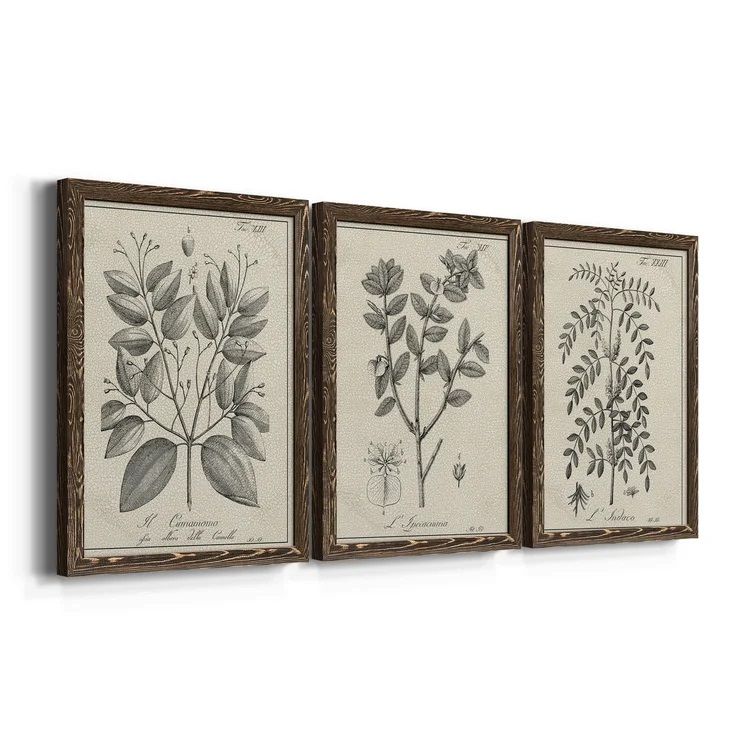 Antique Black And White Botanical VII 3 Piece Picture With Frame 27.5x37.5 thumbnail 3