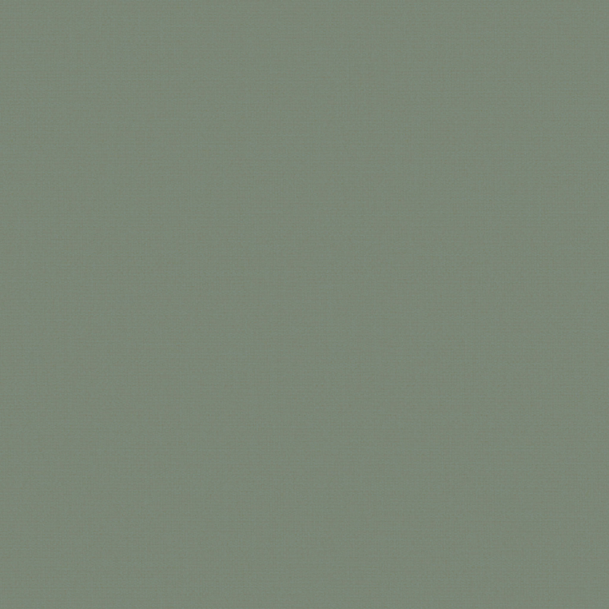 Shirt 4 thumbnail 4