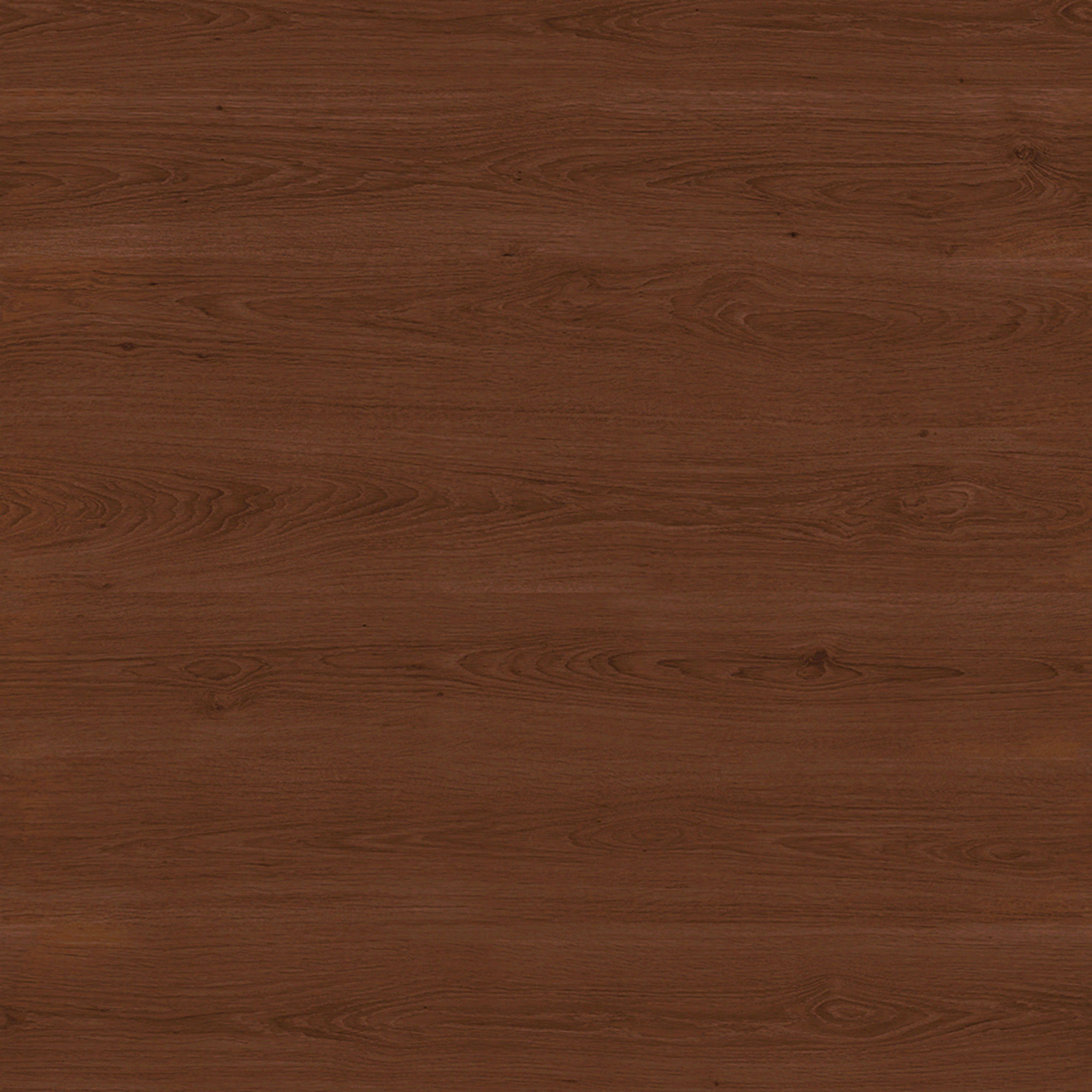 Sanna Leather Chair thumbnail 3