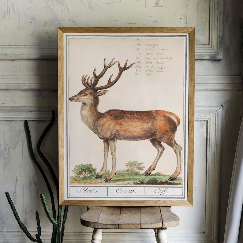 Deer Print, Antique Space Painting thumbnail 2