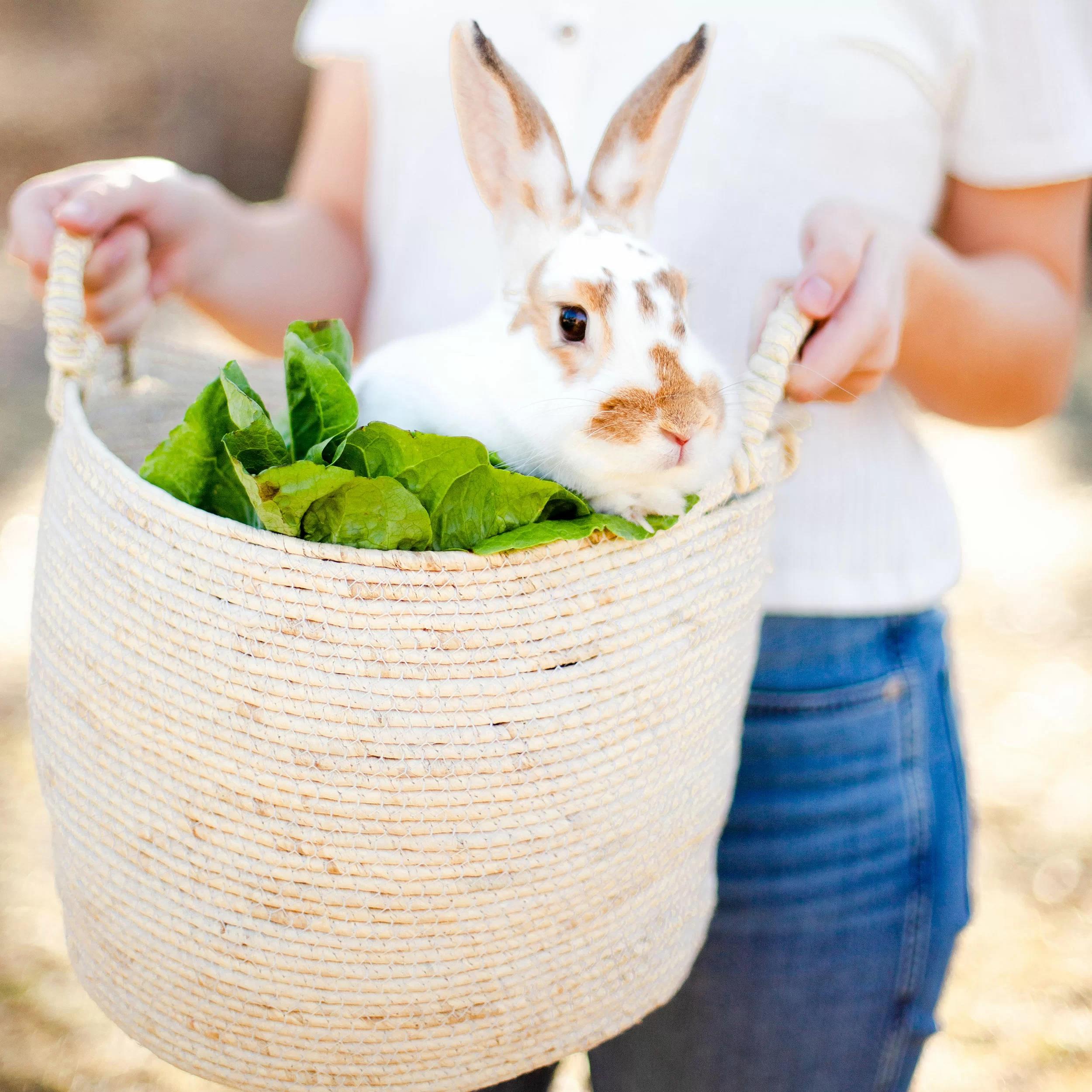 Berke Wicker Basket-Large thumbnail 4