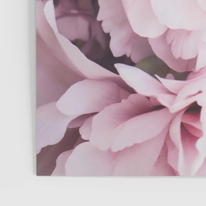 Pink Blush Peonies - Flower  Poster 30x40 thumbnail 2
