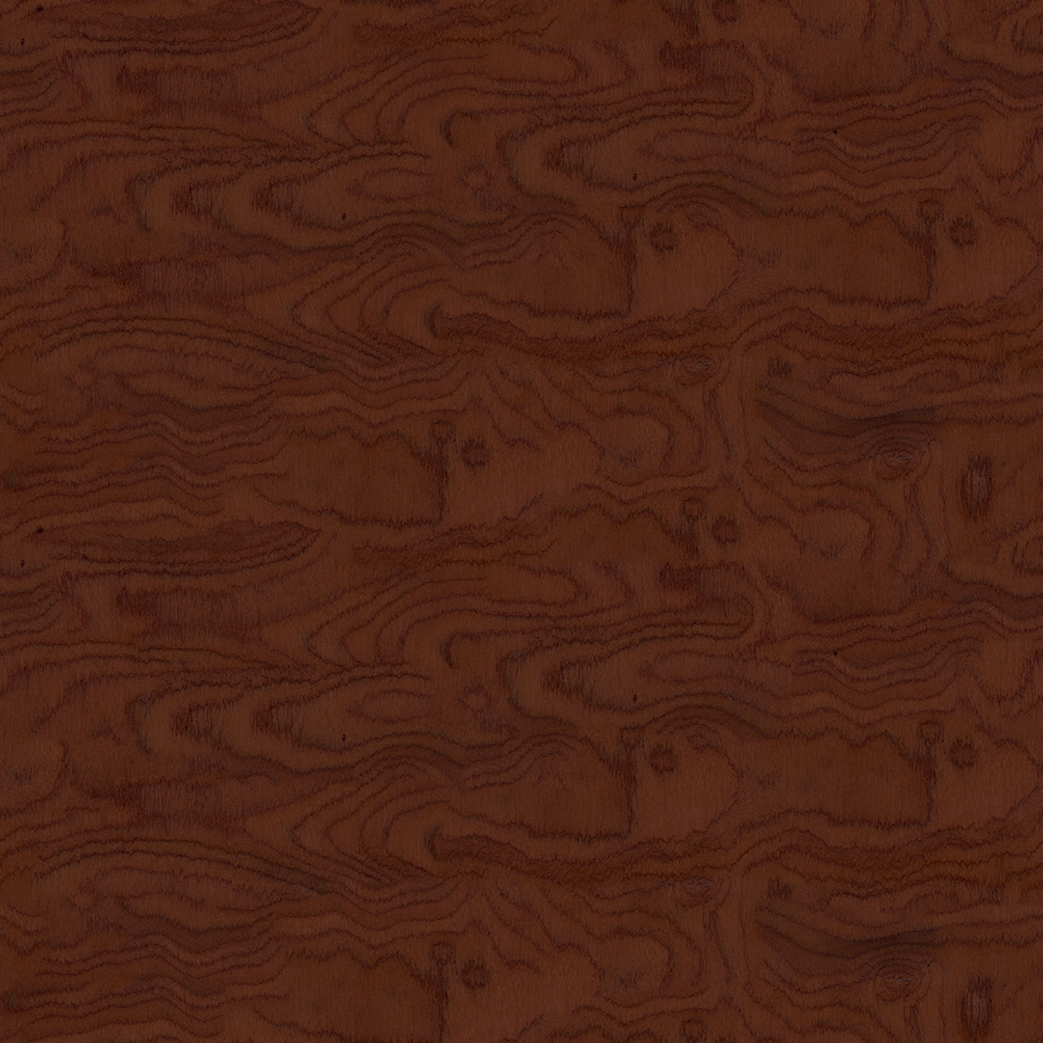 CURATOR KING LEATHER BED thumbnail 7