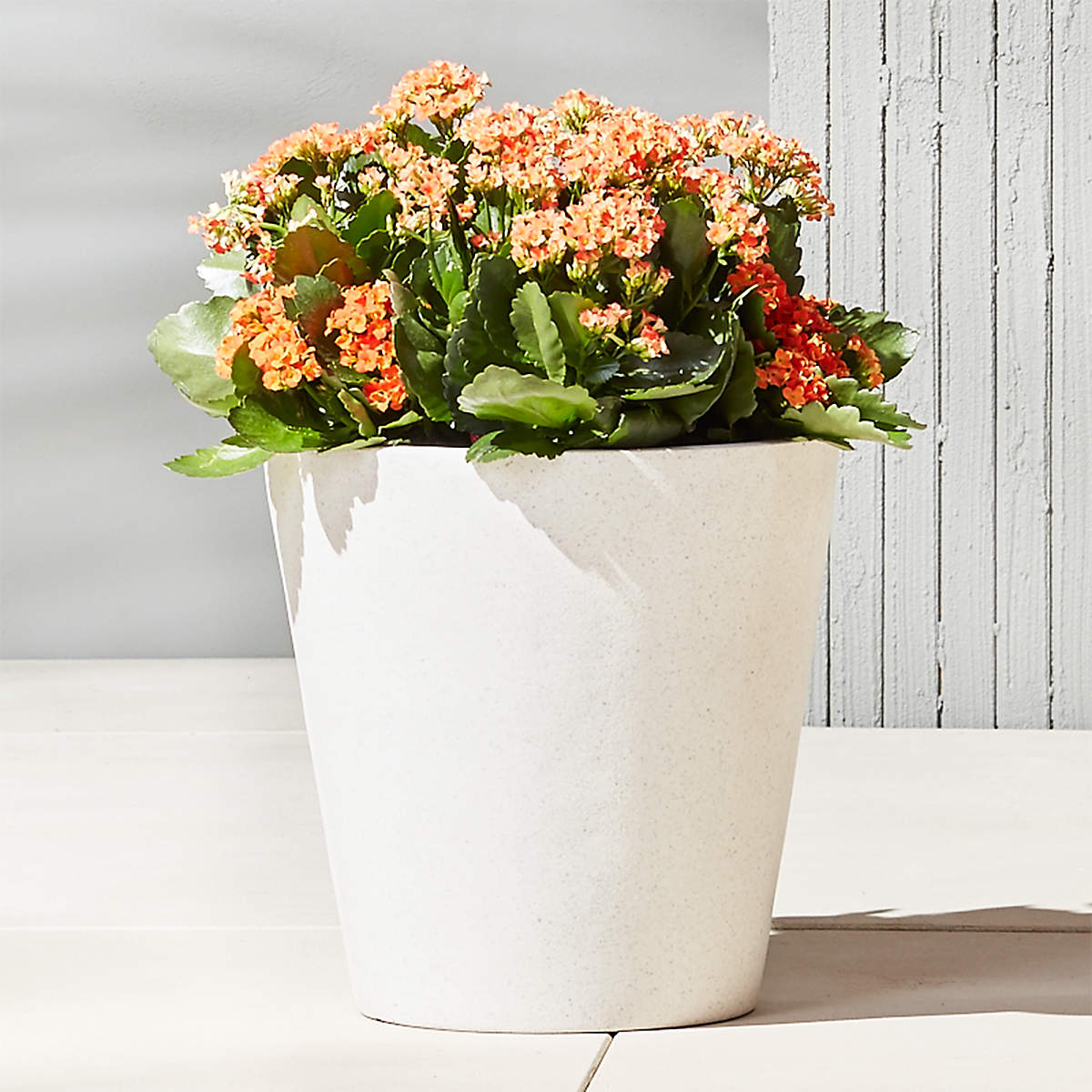 SHORE WHITE STONE INDOOR/OUTDOOR PLANTER MEDIUM thumbnail 2