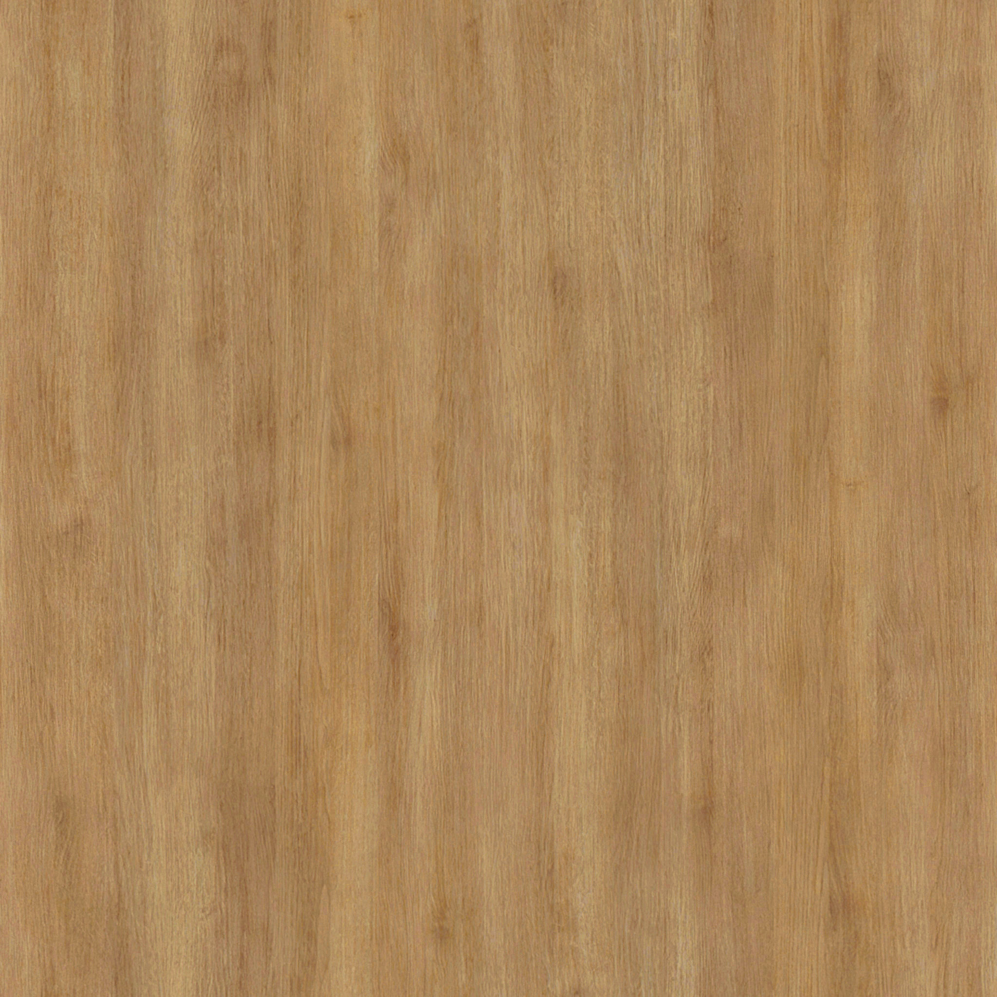Grove Cabinet with Hutch thumbnail 5