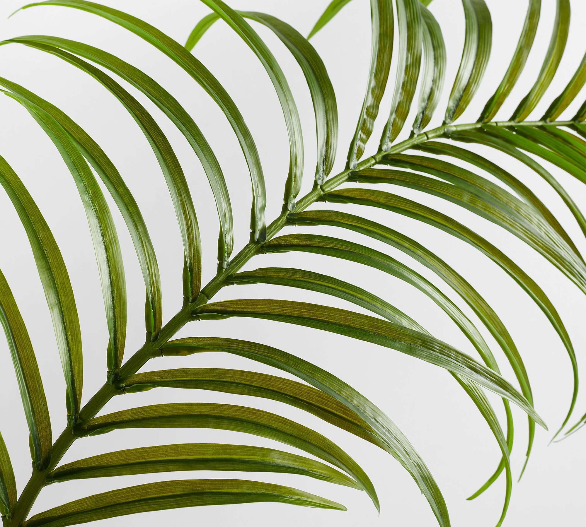 Faux Oversized Palm Leaf Branches thumbnail 3