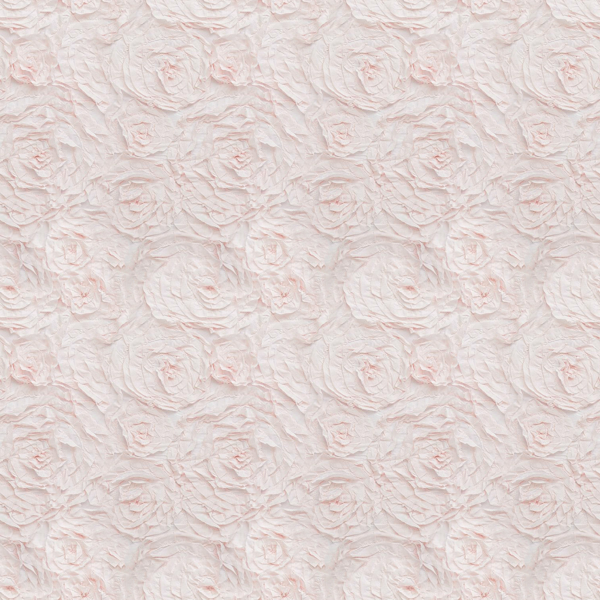 Monique Lhuillier Rosette Shams-26"x20" thumbnail 6
