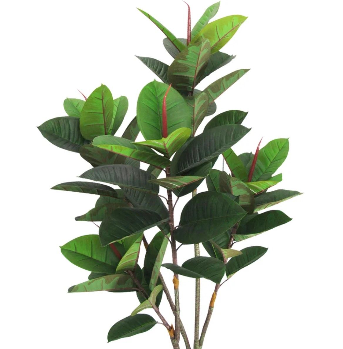 Artificial Rubber Plant Tree in Pot thumbnail 2