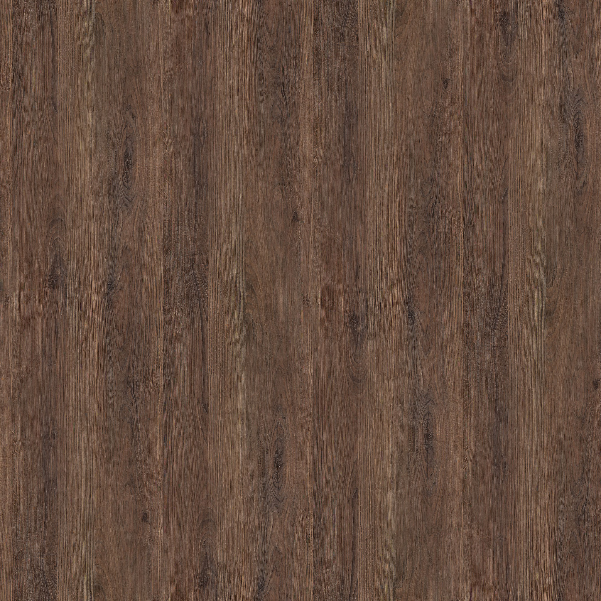 Coloma Round Storage Coffee Table thumbnail 4