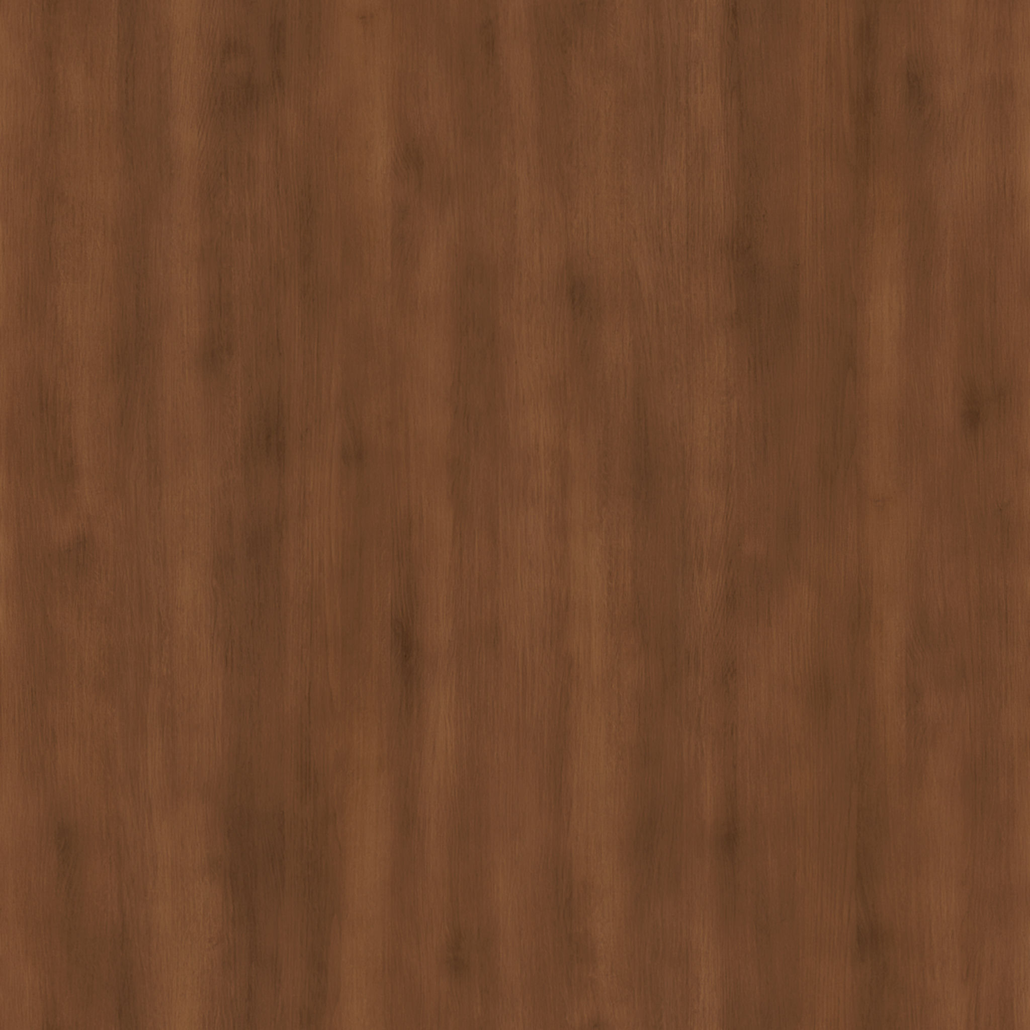 Dag Side Chair-Set of 2 thumbnail 9