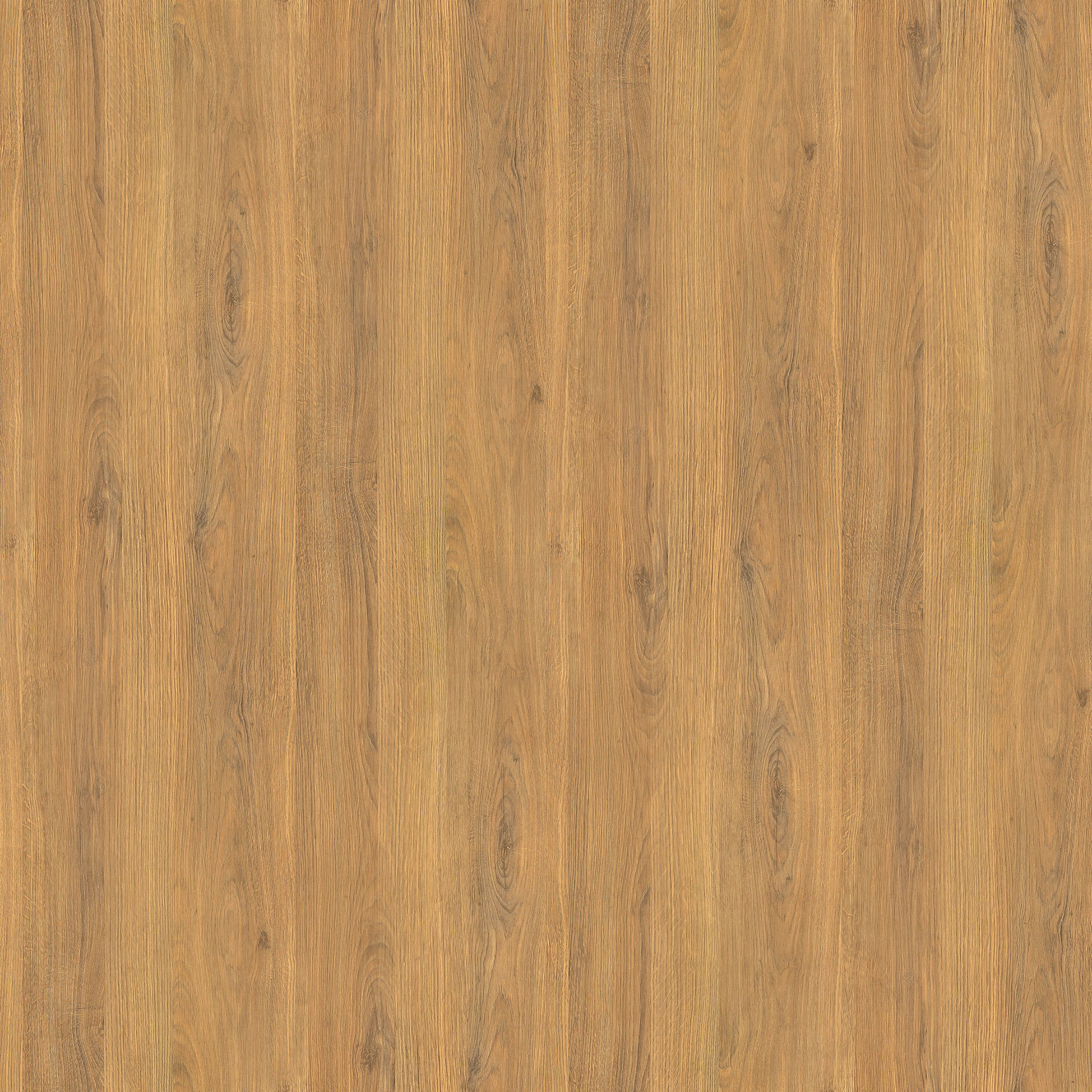 Elina Chair thumbnail 5