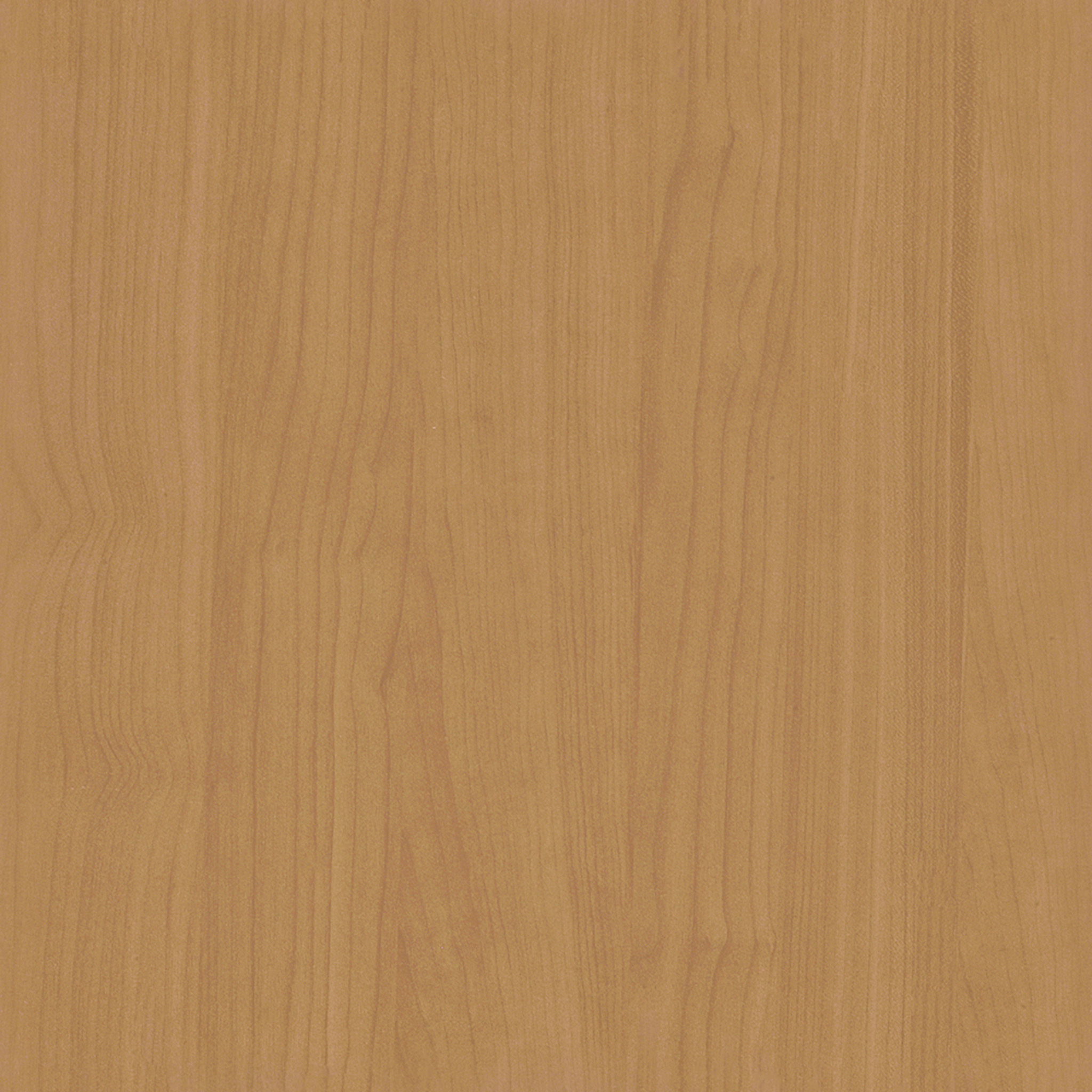 Vari Chair thumbnail 6