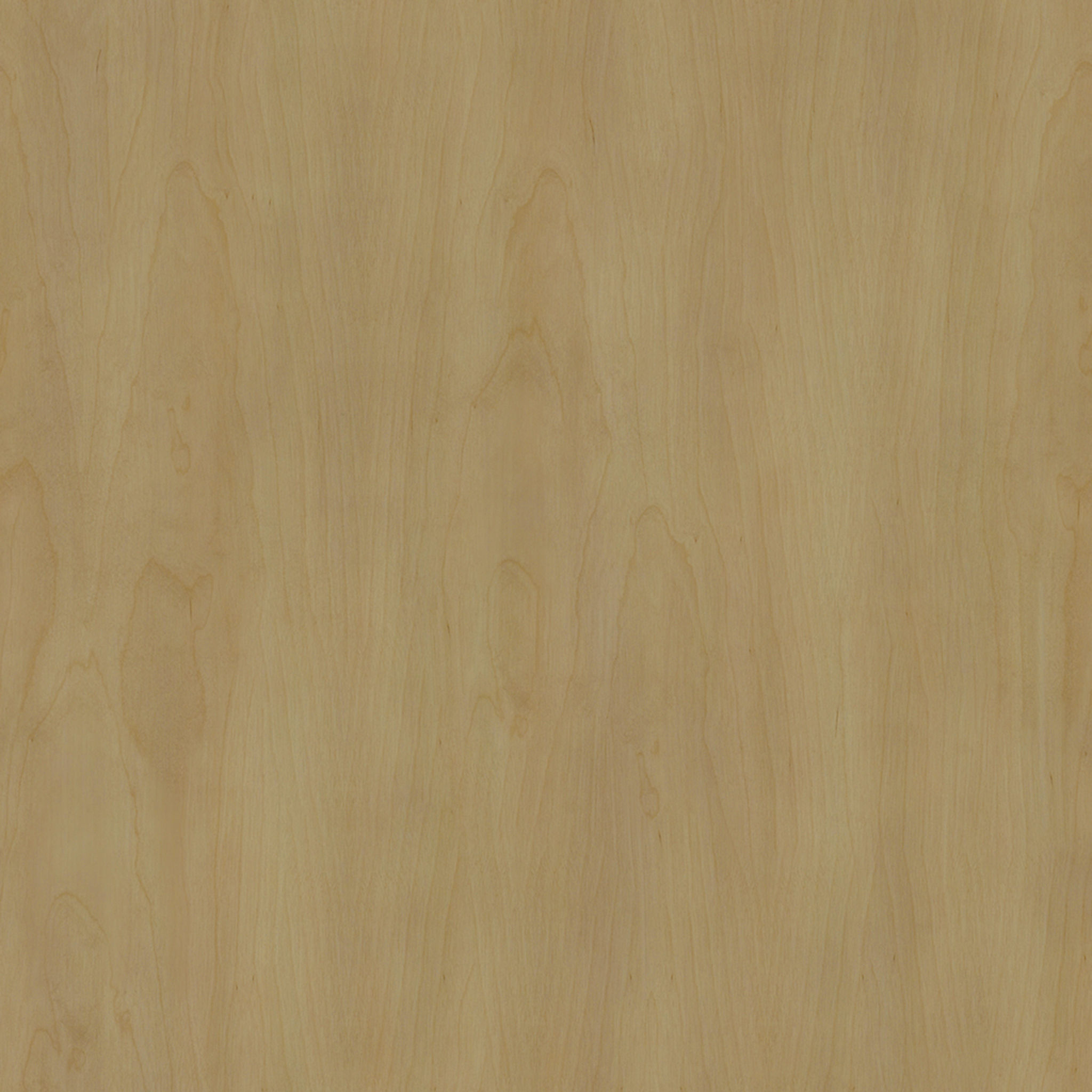 Alasteir Coffee Table thumbnail 7