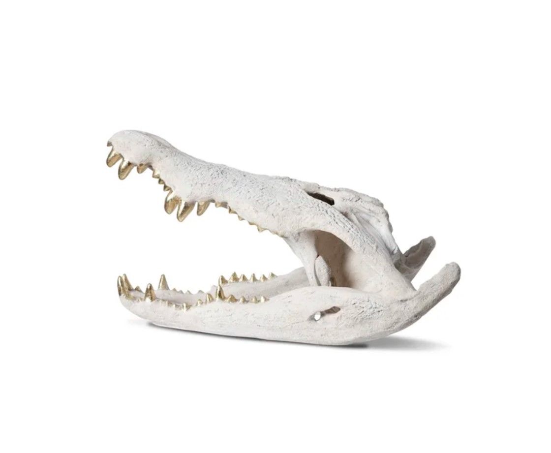 Crocodile Skull thumbnail 2