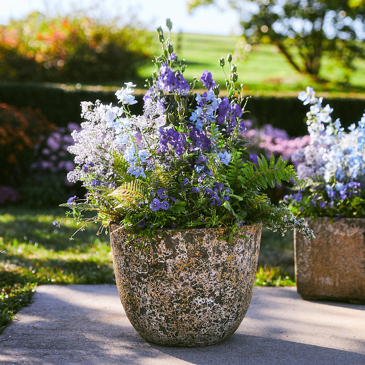 Barnacle Rounded Egg Planter thumbnail 4