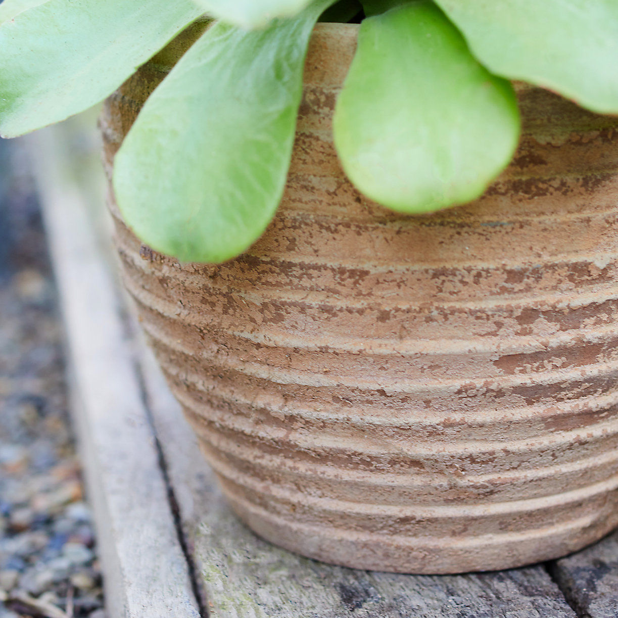 Antiqued Ring Ceramic Jar Planter-11" thumbnail 3