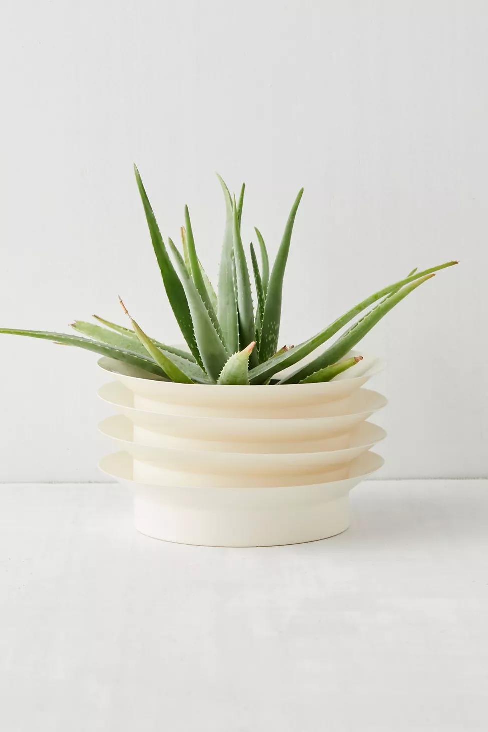 Cazz XL Planter thumbnail 3
