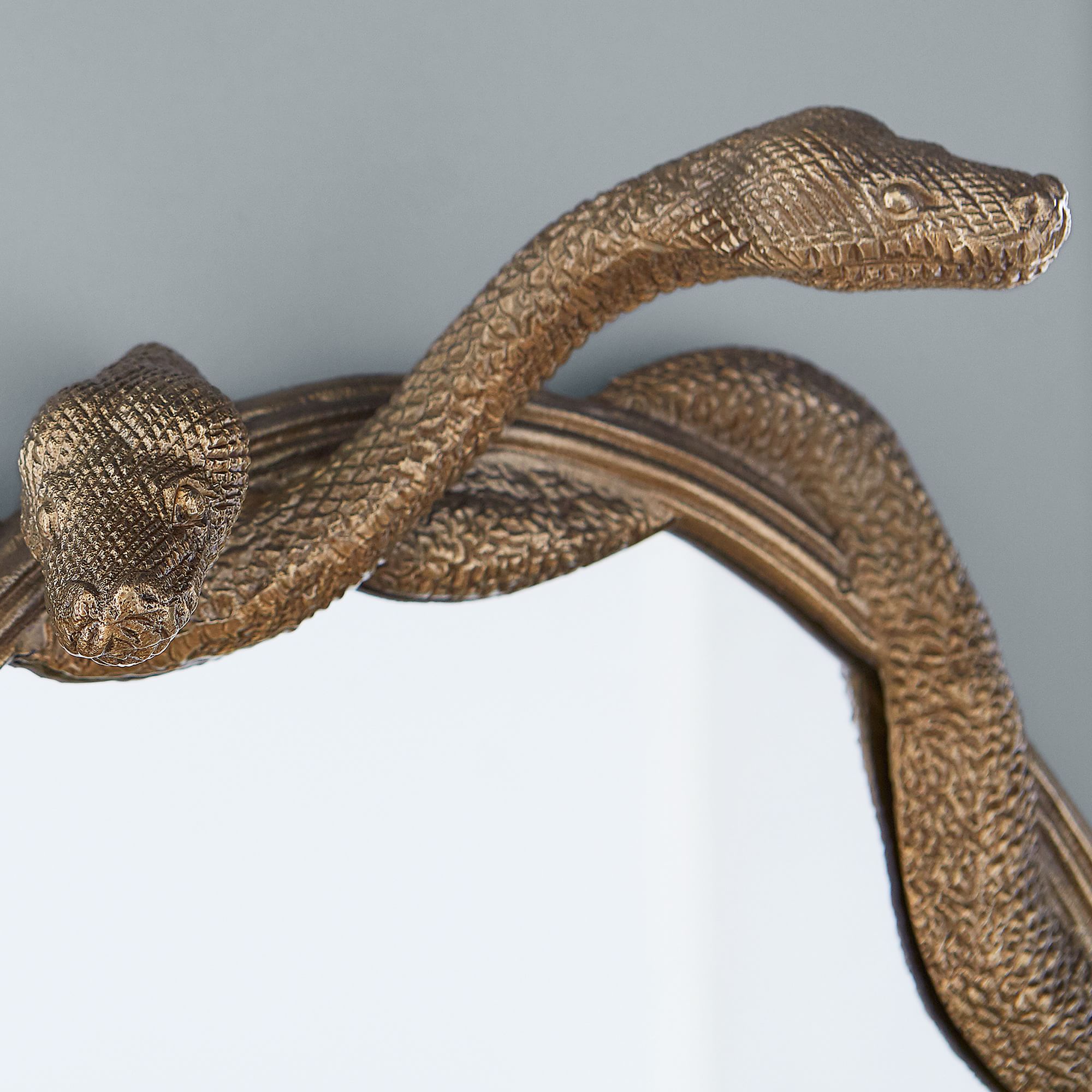 Harry Potter™ Wizarding World Nagini™ Mirror (18"x27") thumbnail 3
