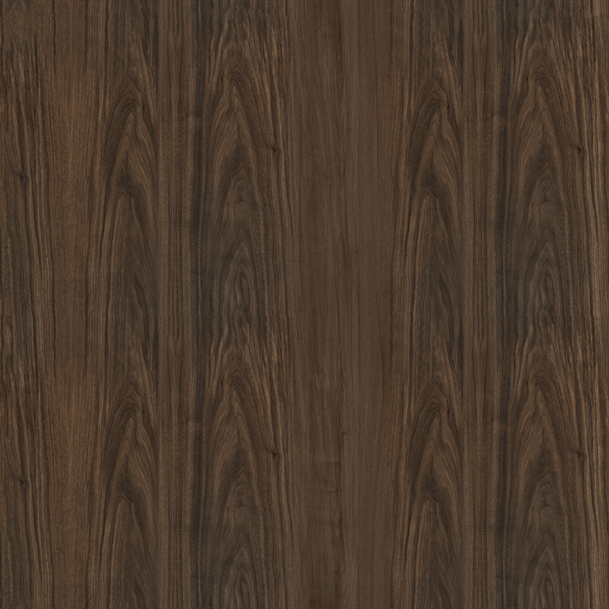 Marietta Dining Chair thumbnail 7