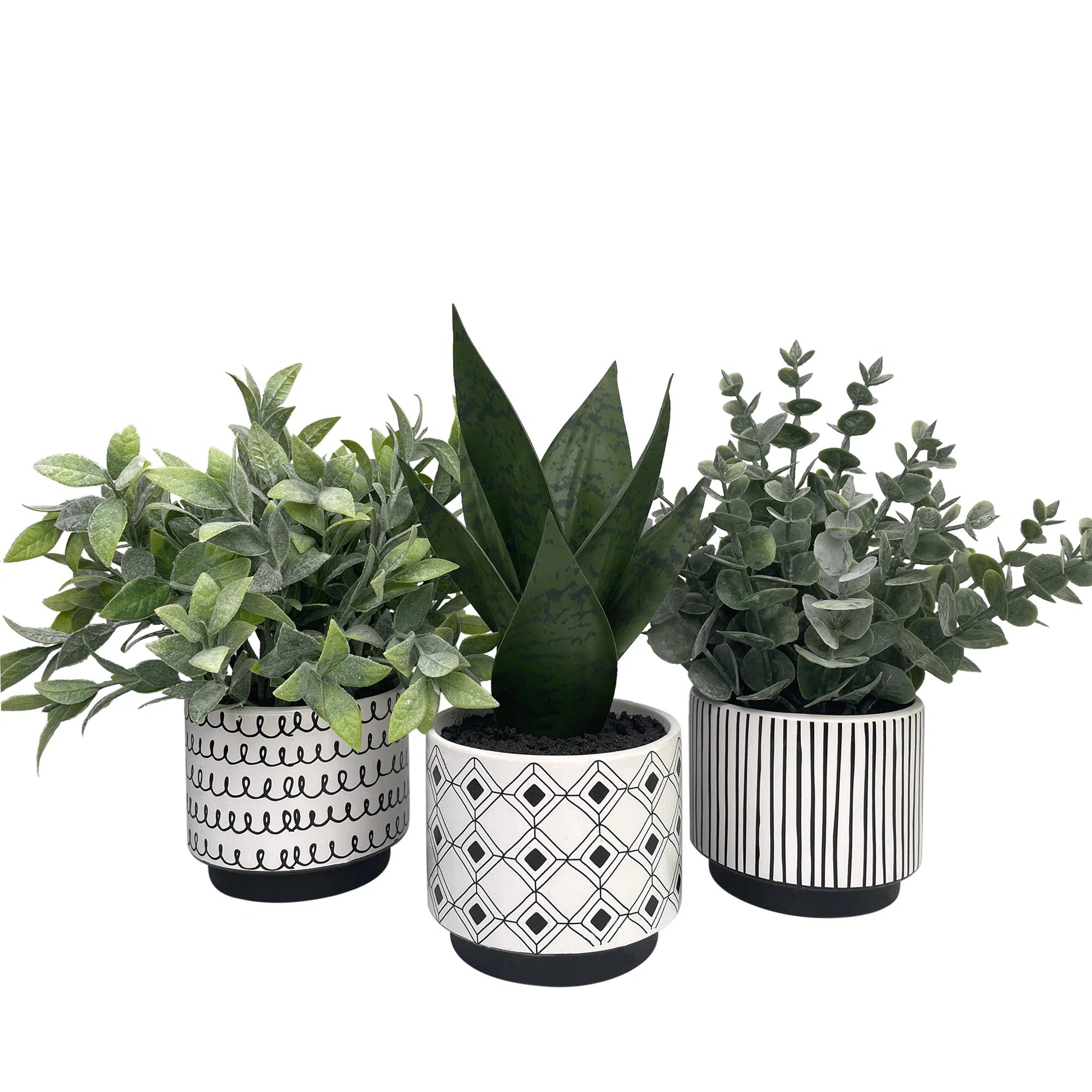 Faux Eucalyptus Plant in Ceramic Pot thumbnail 2