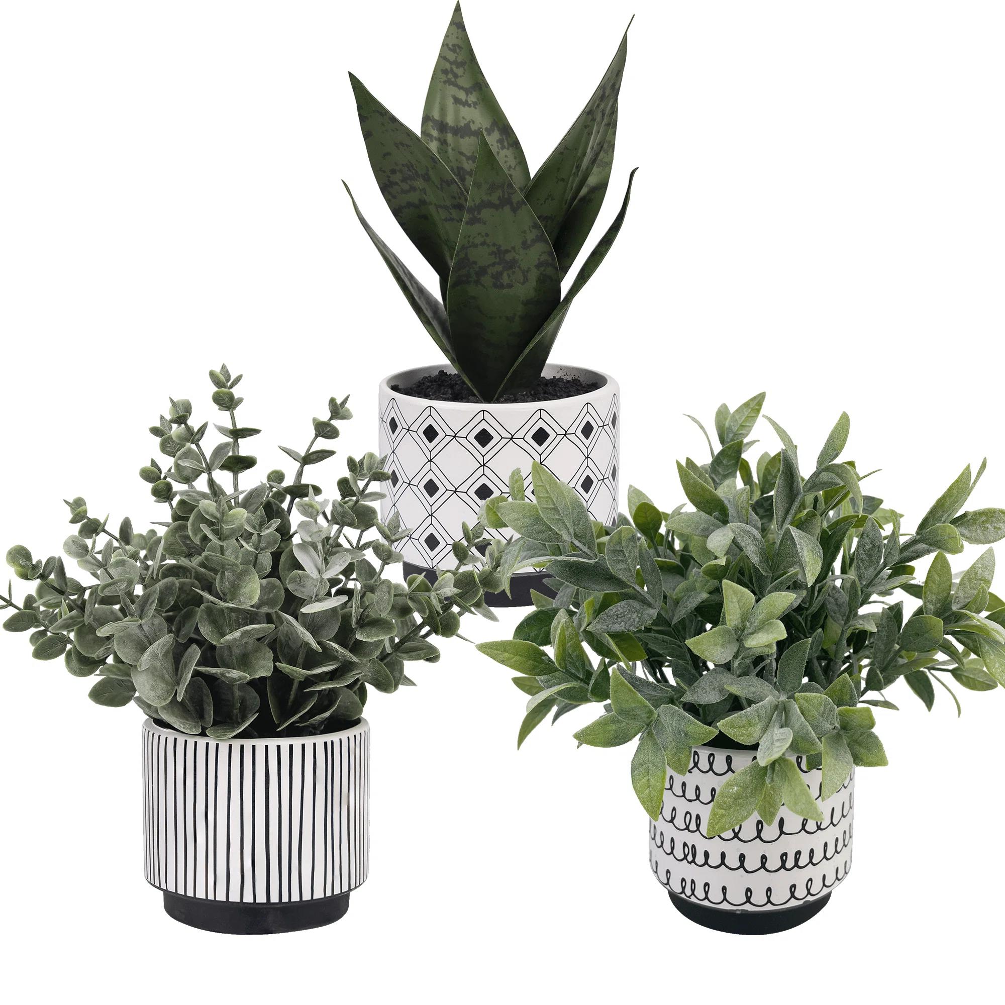 Faux Eucalyptus Plant in Ceramic Pot 1 thumbnail 3