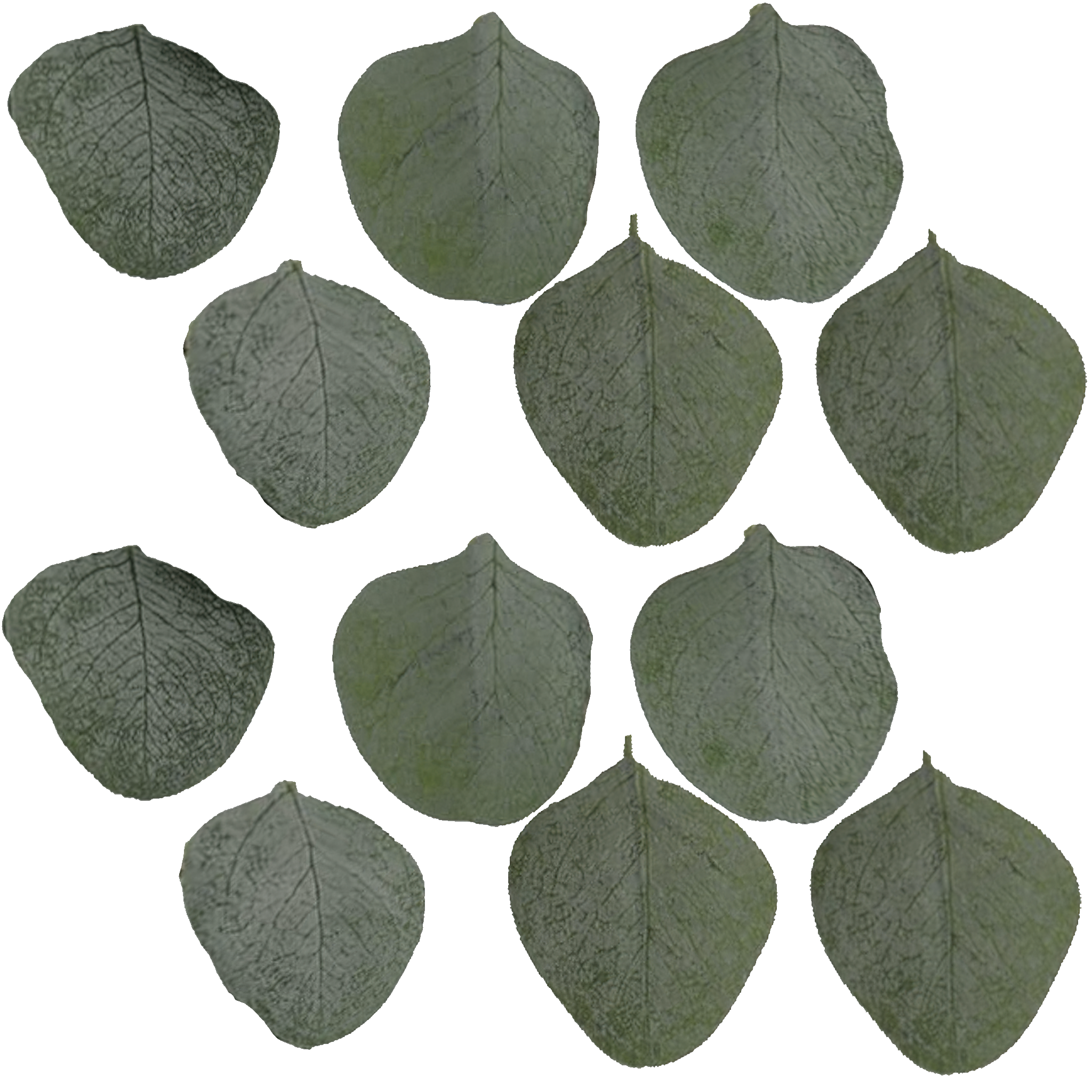 Faux Eucalyptus Plant in Ceramic Pot 2 thumbnail 2