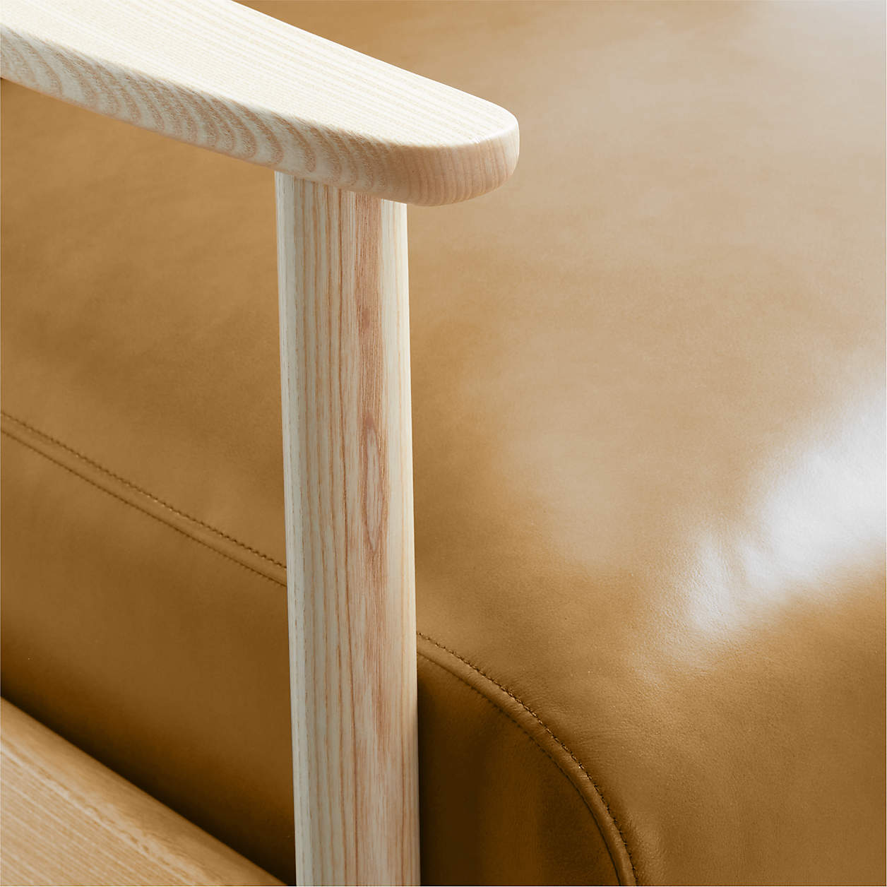 Domingo Leather Reclining Accent Chair with Wood Frame thumbnail 7