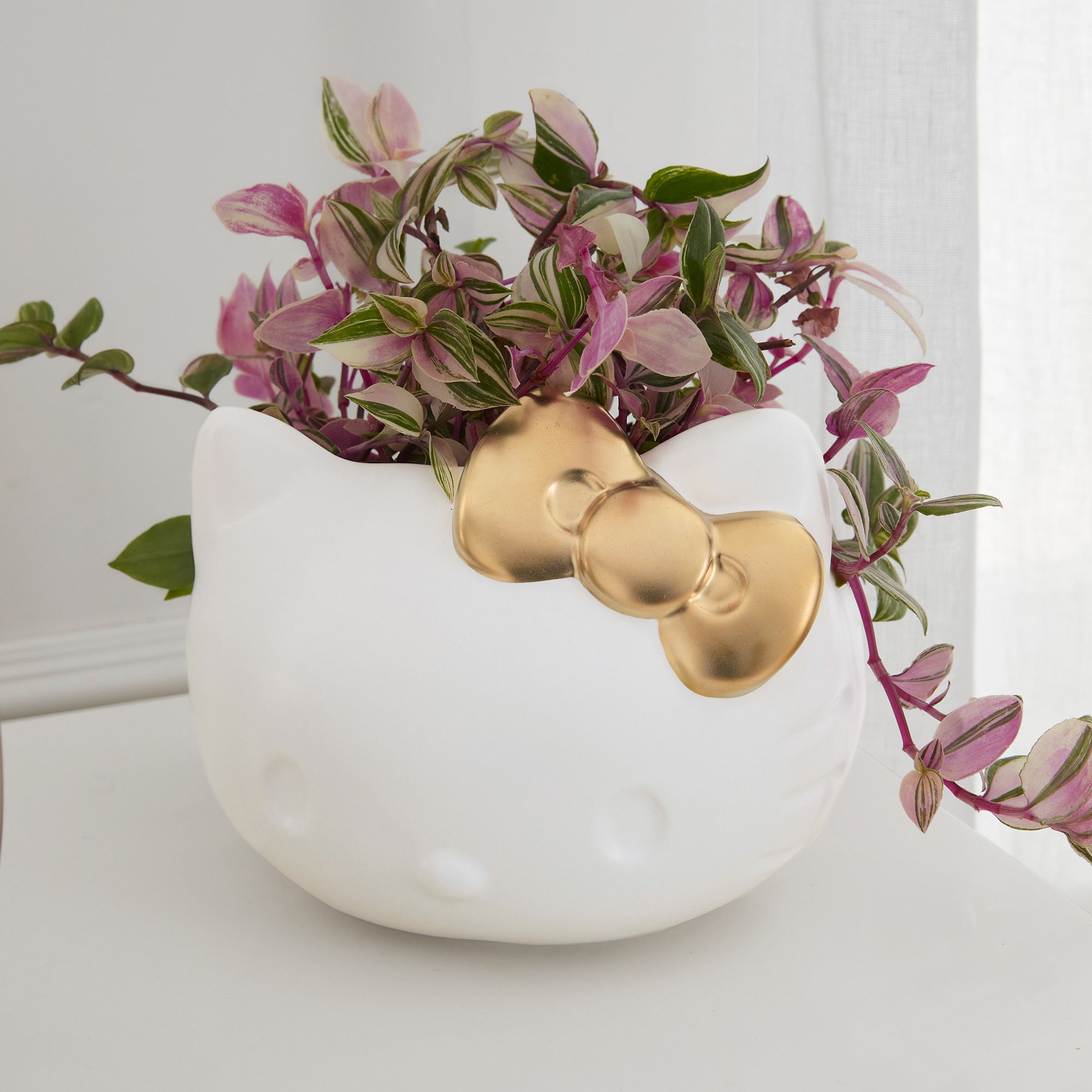 Hello Kitty Planter thumbnail 2