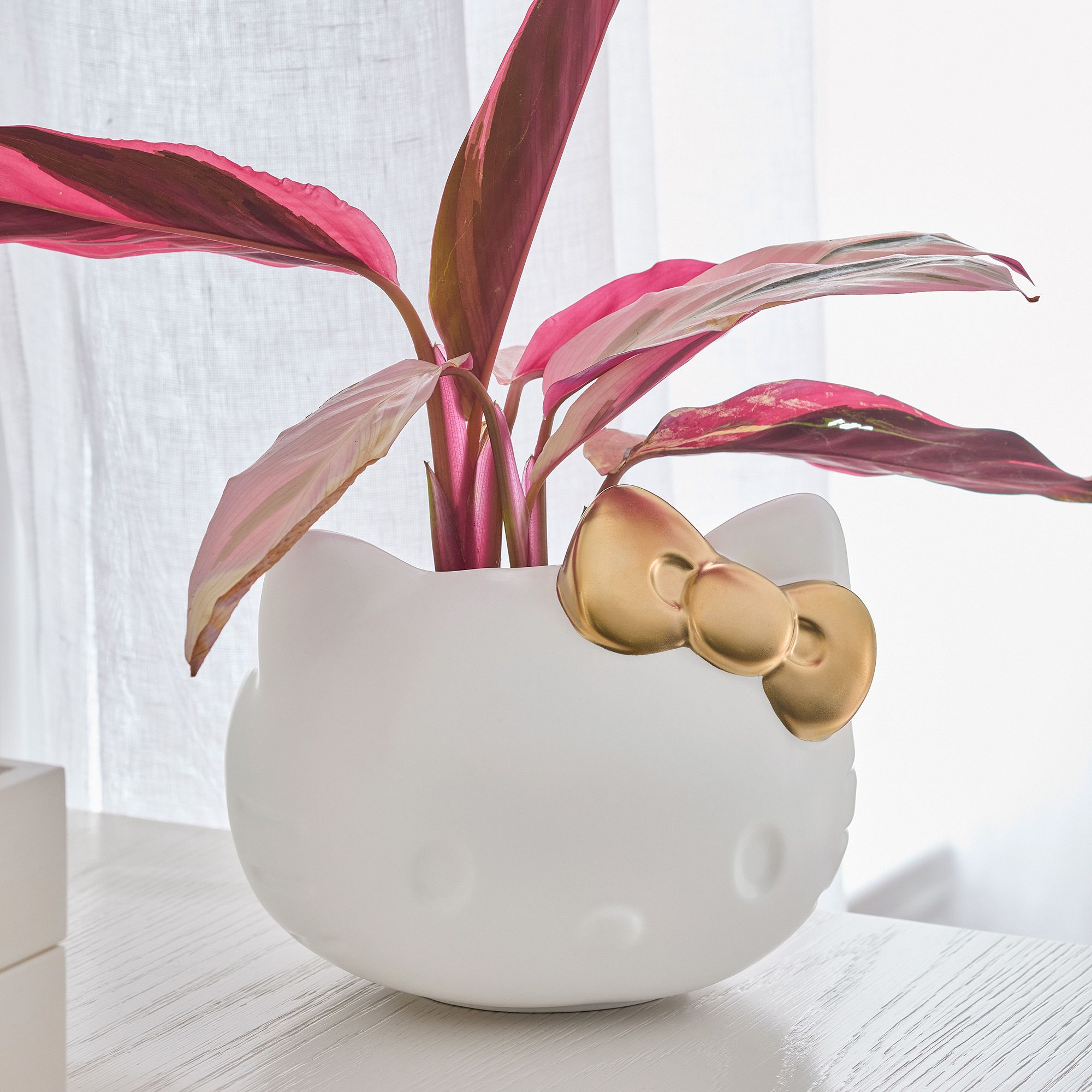 Hello Kitty Planter thumbnail 3