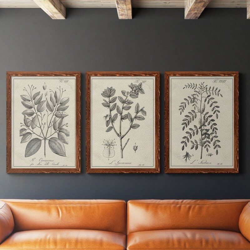 Antique Black And White Botanical VII Framed thumbnail 2