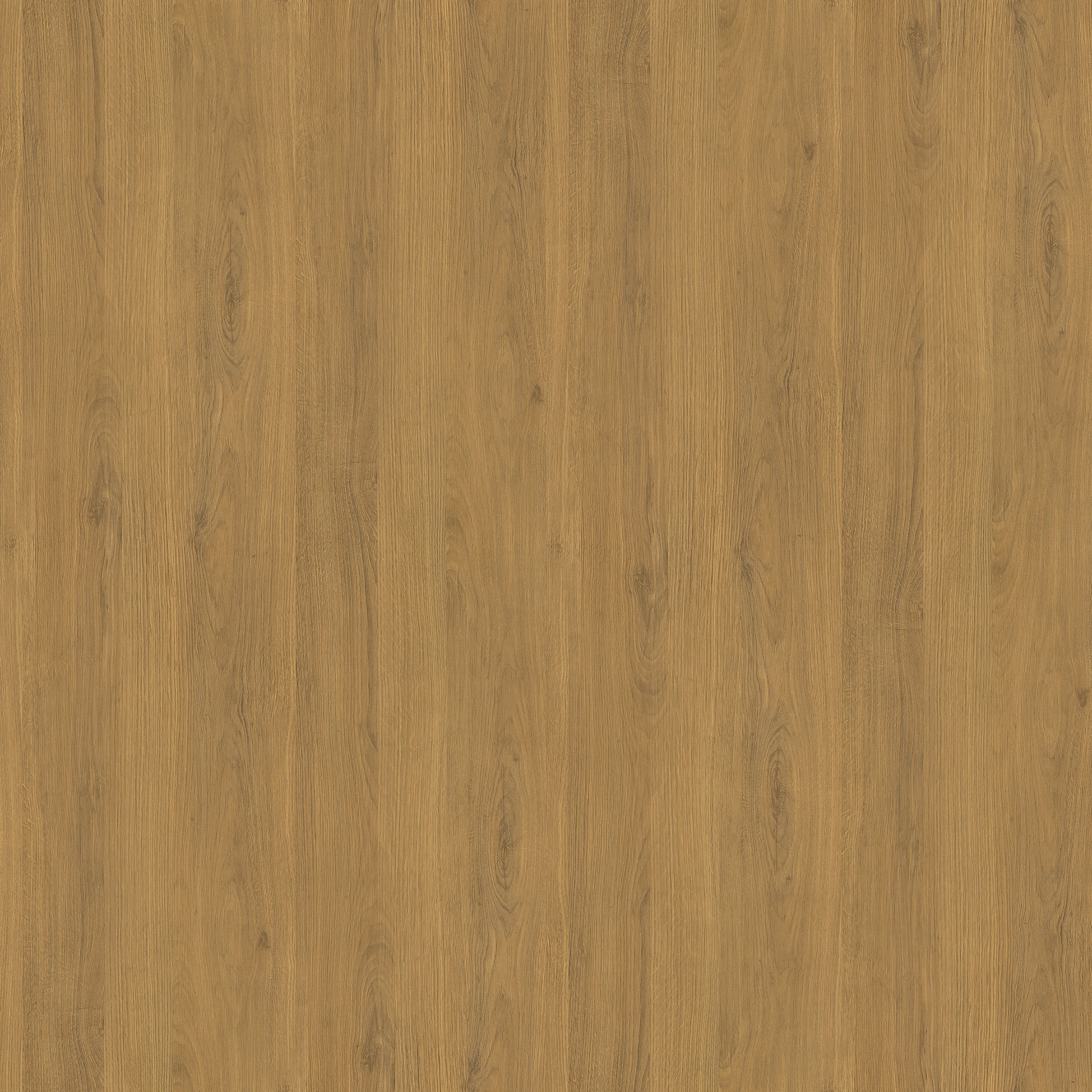 Sophia Bookcase thumbnail 4