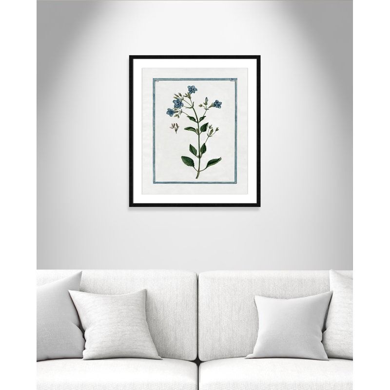 Shabby Elegance Botanical II Framed Art Full Bleed thumbnail 2
