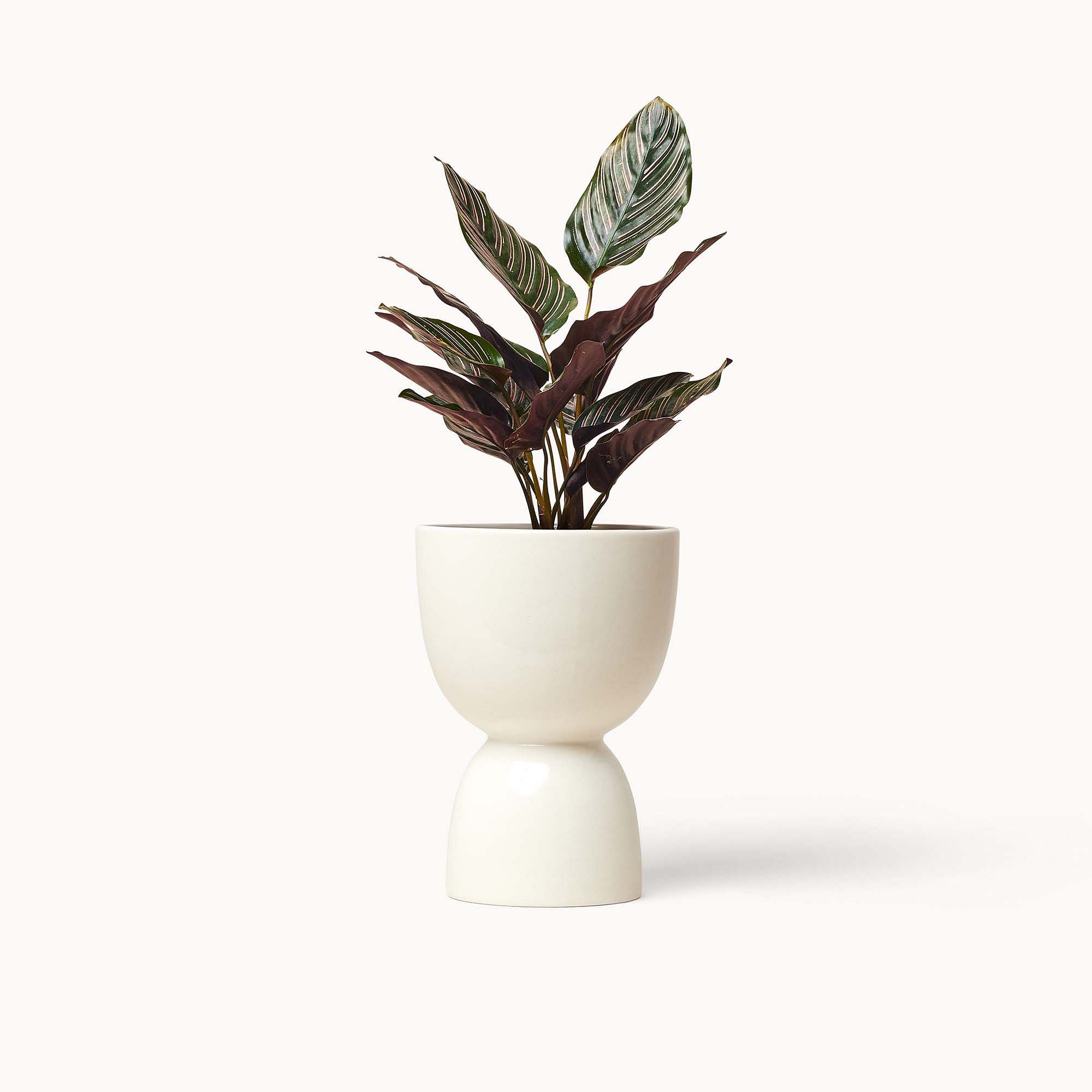Franca NYC Stacked Planter 7.25 thumbnail 2