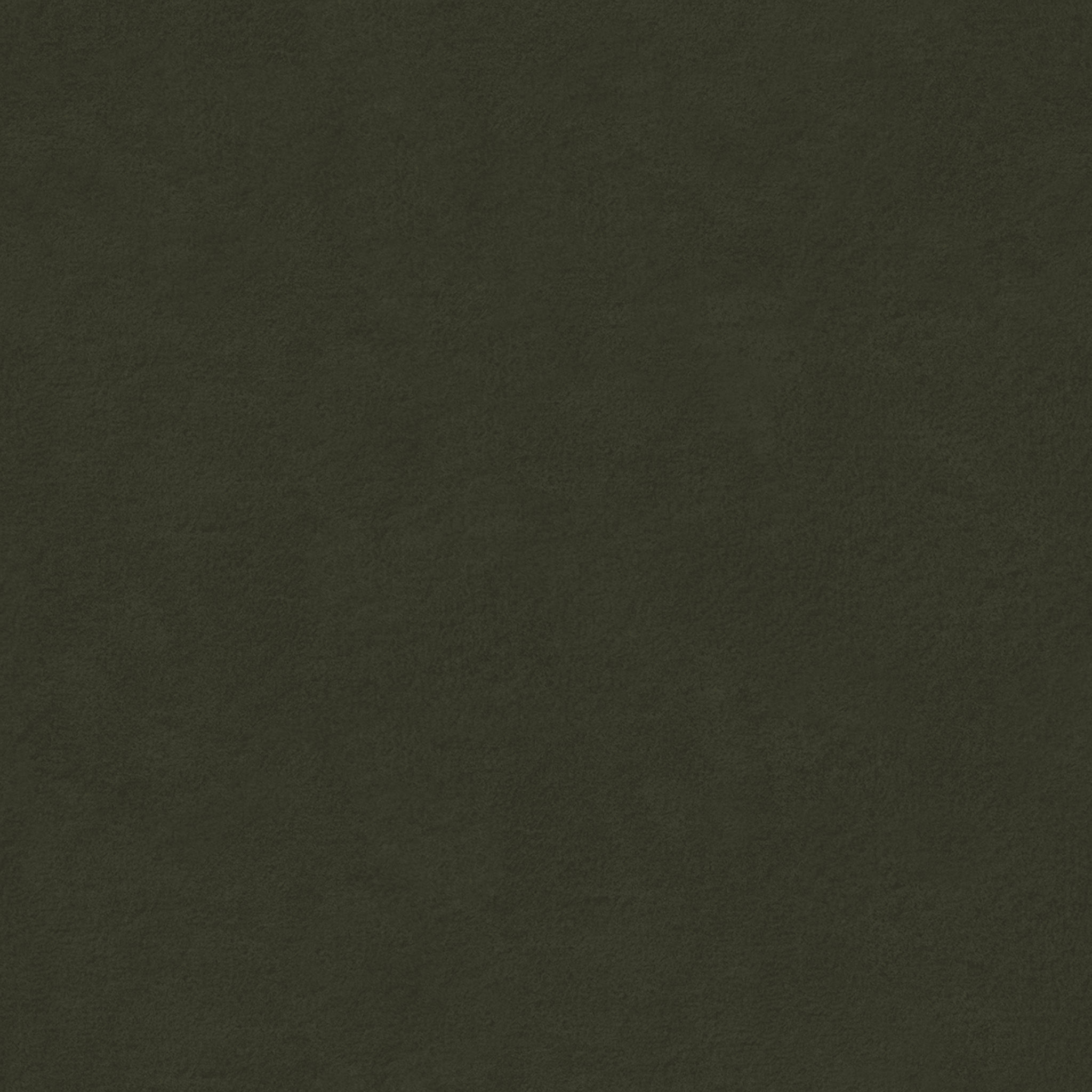 The Nugget thumbnail 2