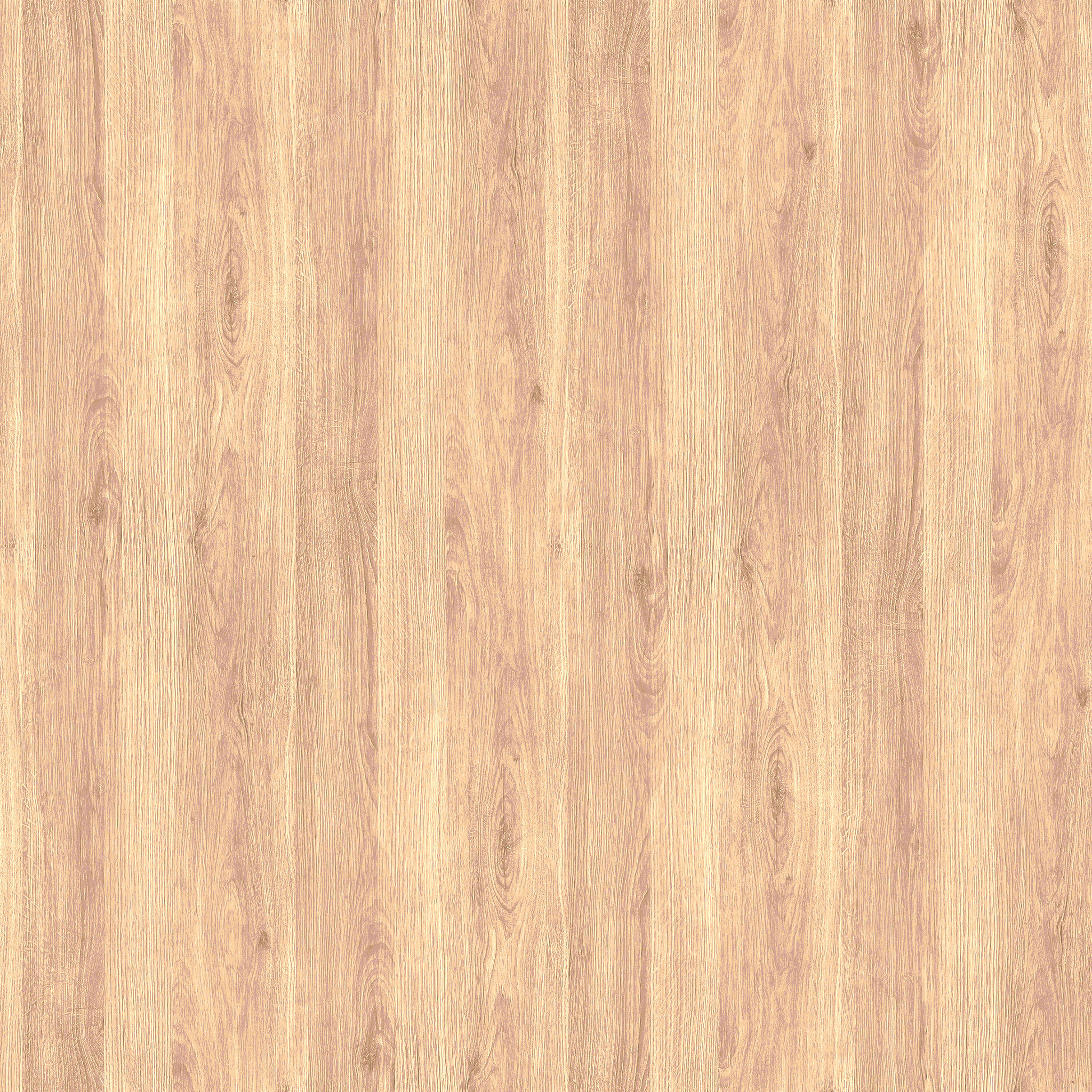 Baja Natural Oak C Table thumbnail 4