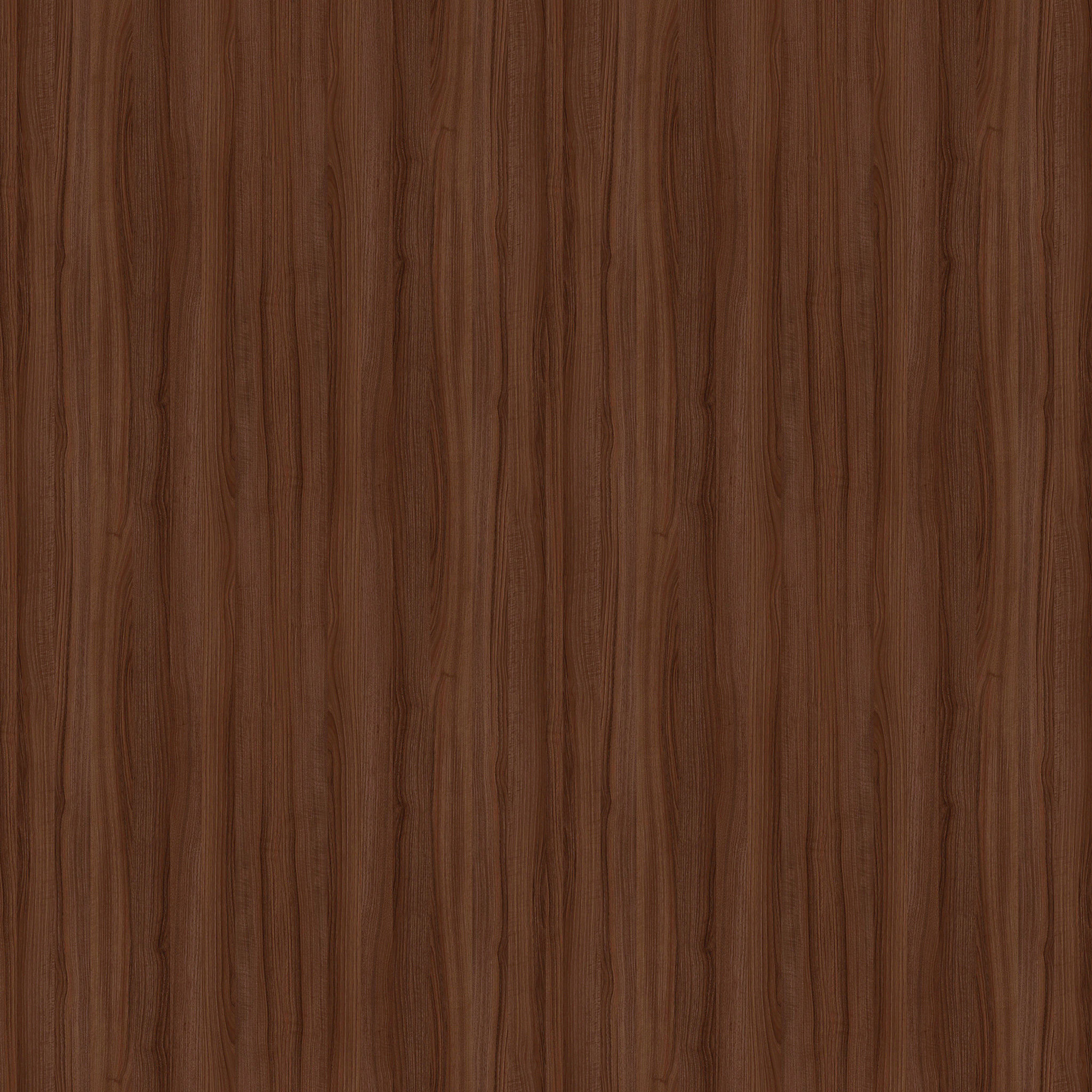 Portside Dining Chair thumbnail 8