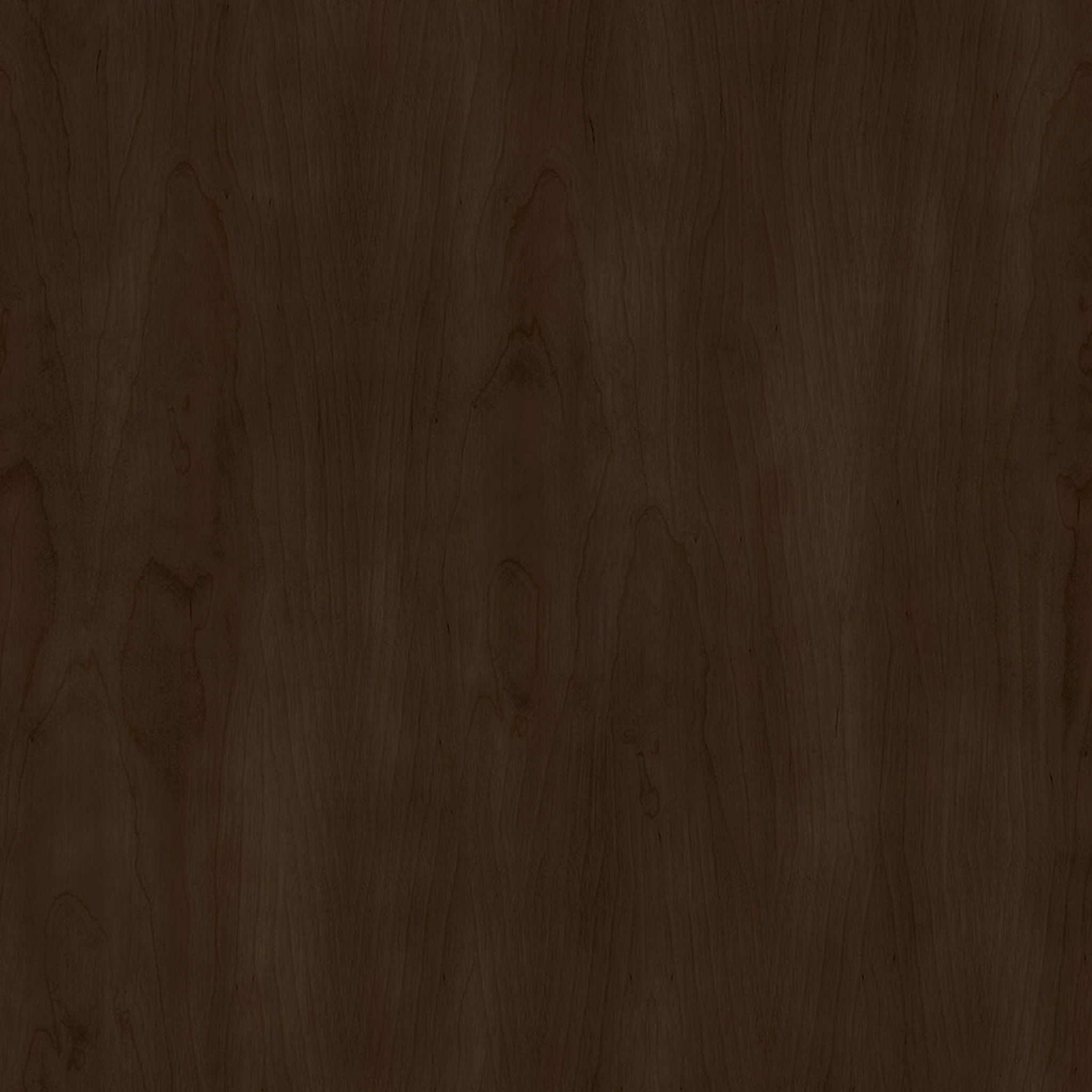 Hawk Coffee Table thumbnail 5