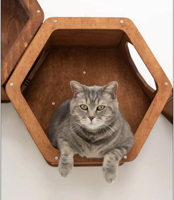 Honeycomb Cat Shelves Light thumbnail 2