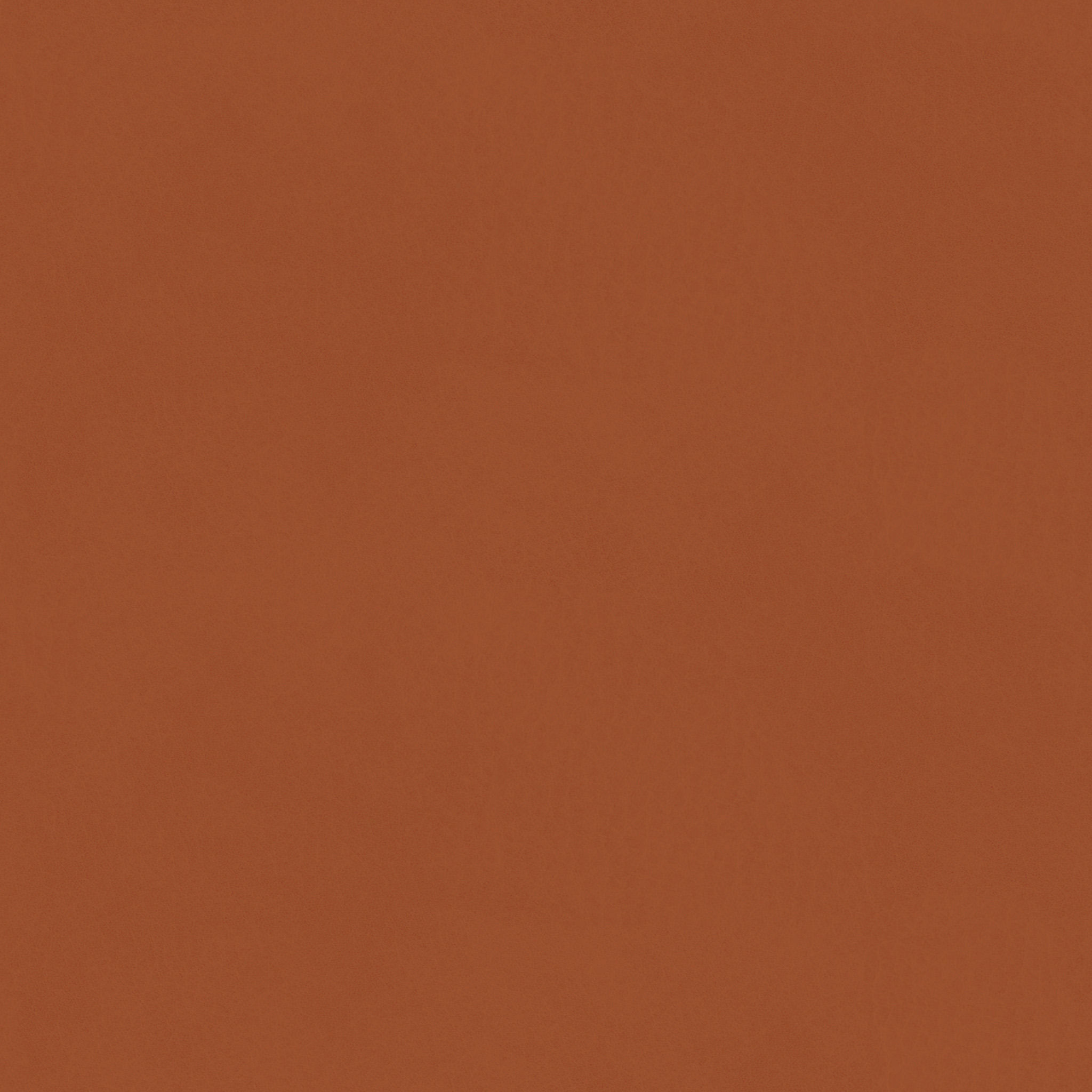 The Spanish Dining Chair With Arms thumbnail 4