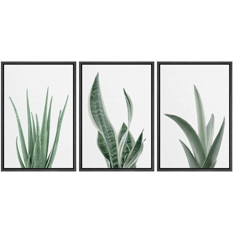 Minimal Snake Plant Agave Succulents Nature Framed On Canvas 3 Pieces Print 2 thumbnail 2