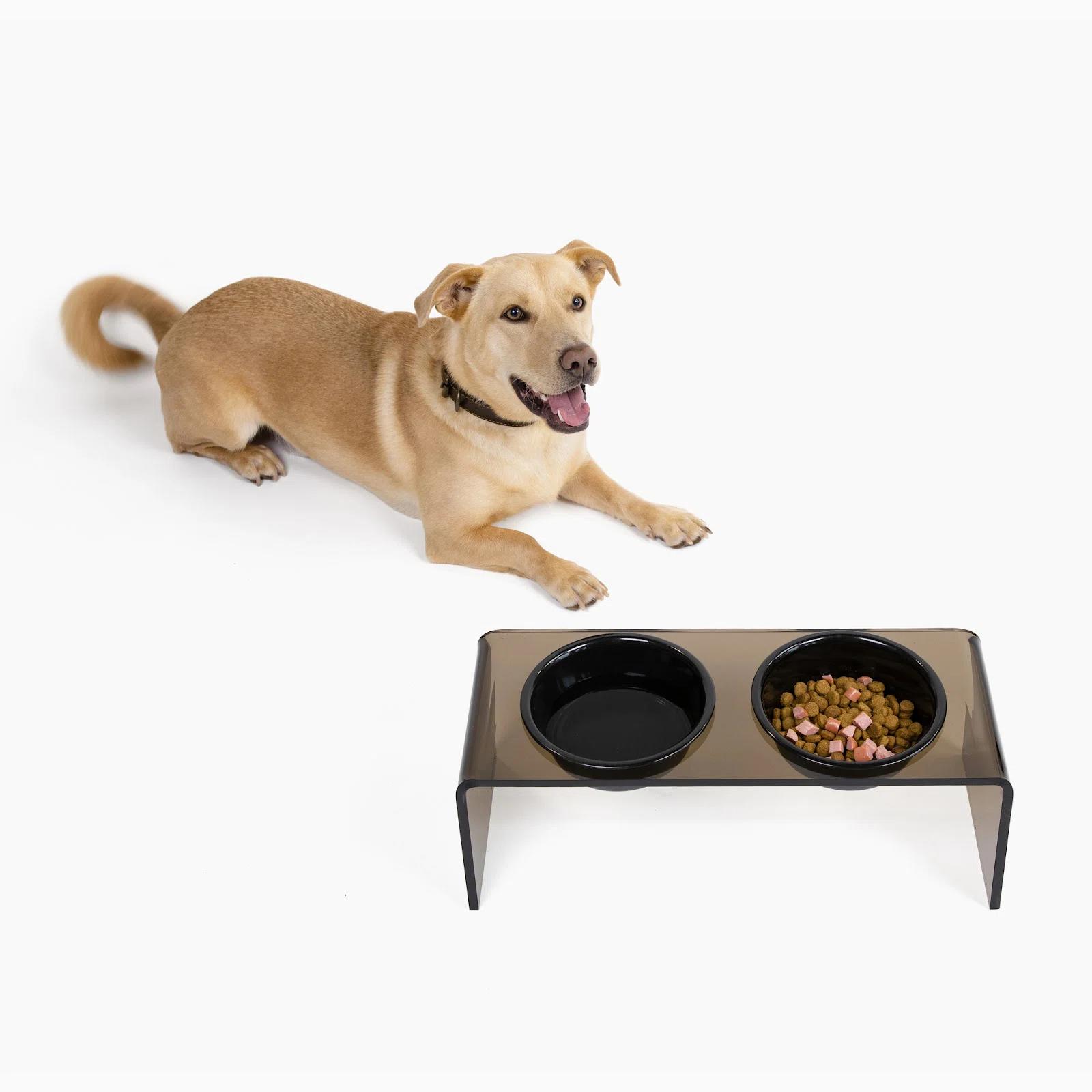 Smoke Grey Acrylic Double Bowl Elevated Pet Feeder thumbnail 2